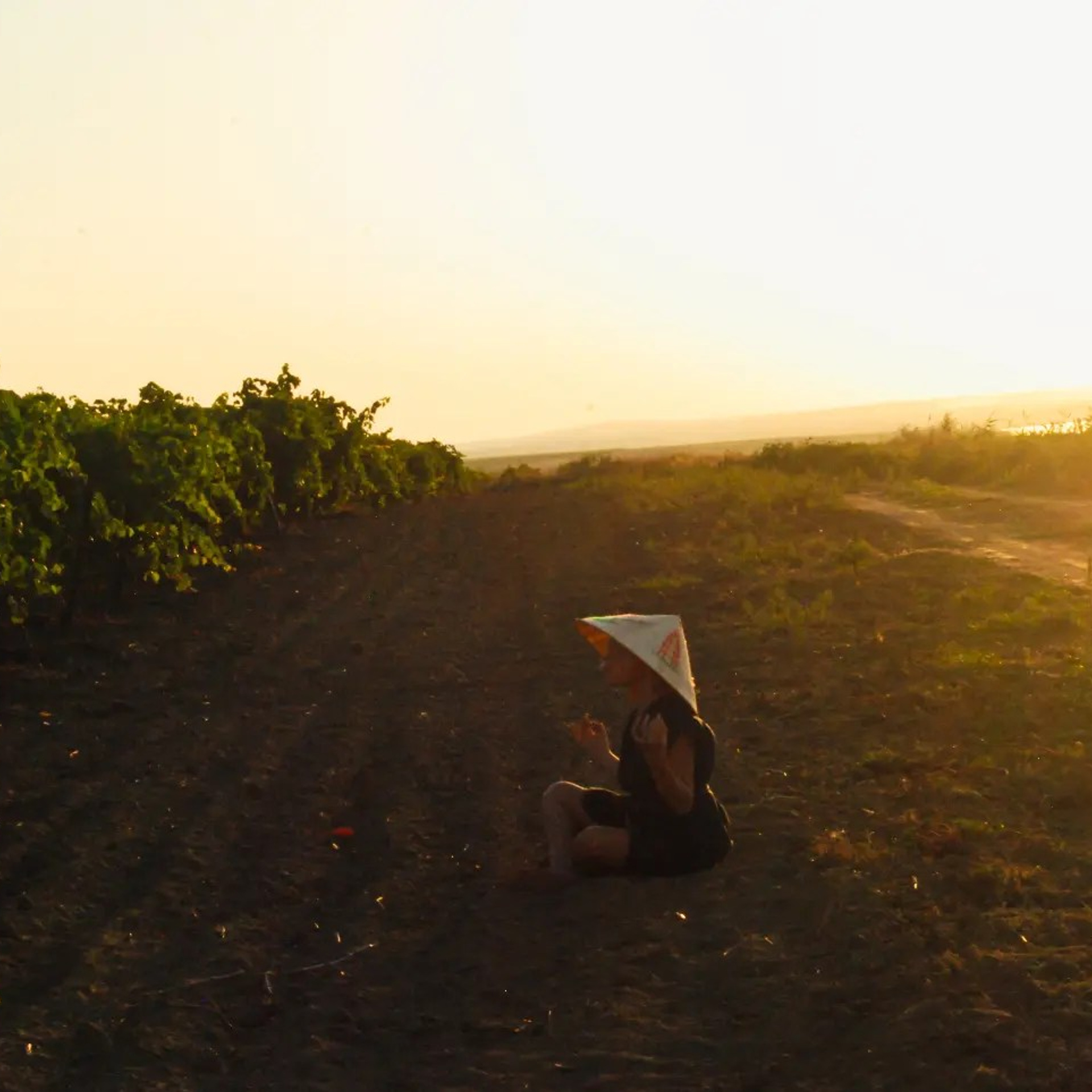 Таманский полуостров.Фотопрогулка виноградник.Арина