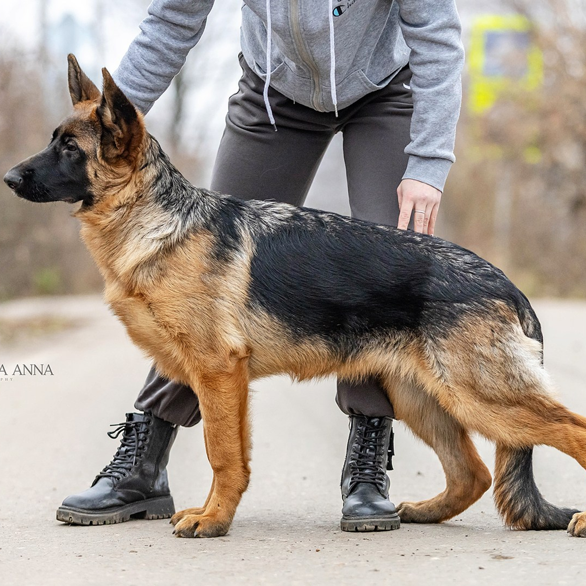 Отзывы. Https://moshkovaphoto.ru/