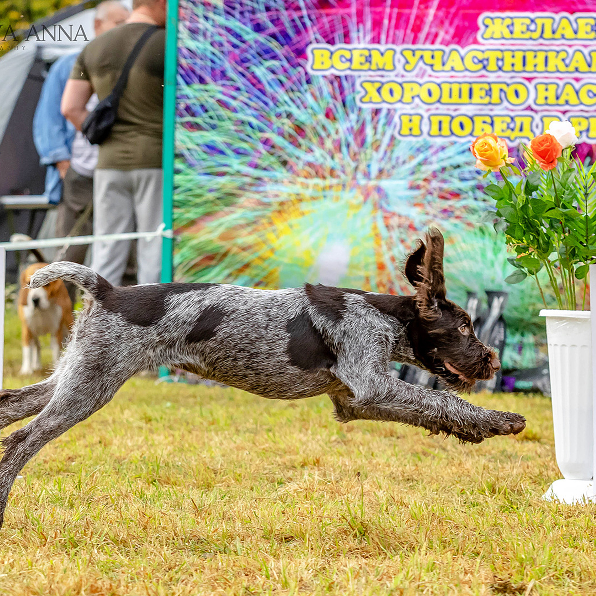 Отзывы. Https://moshkovaphoto.ru/