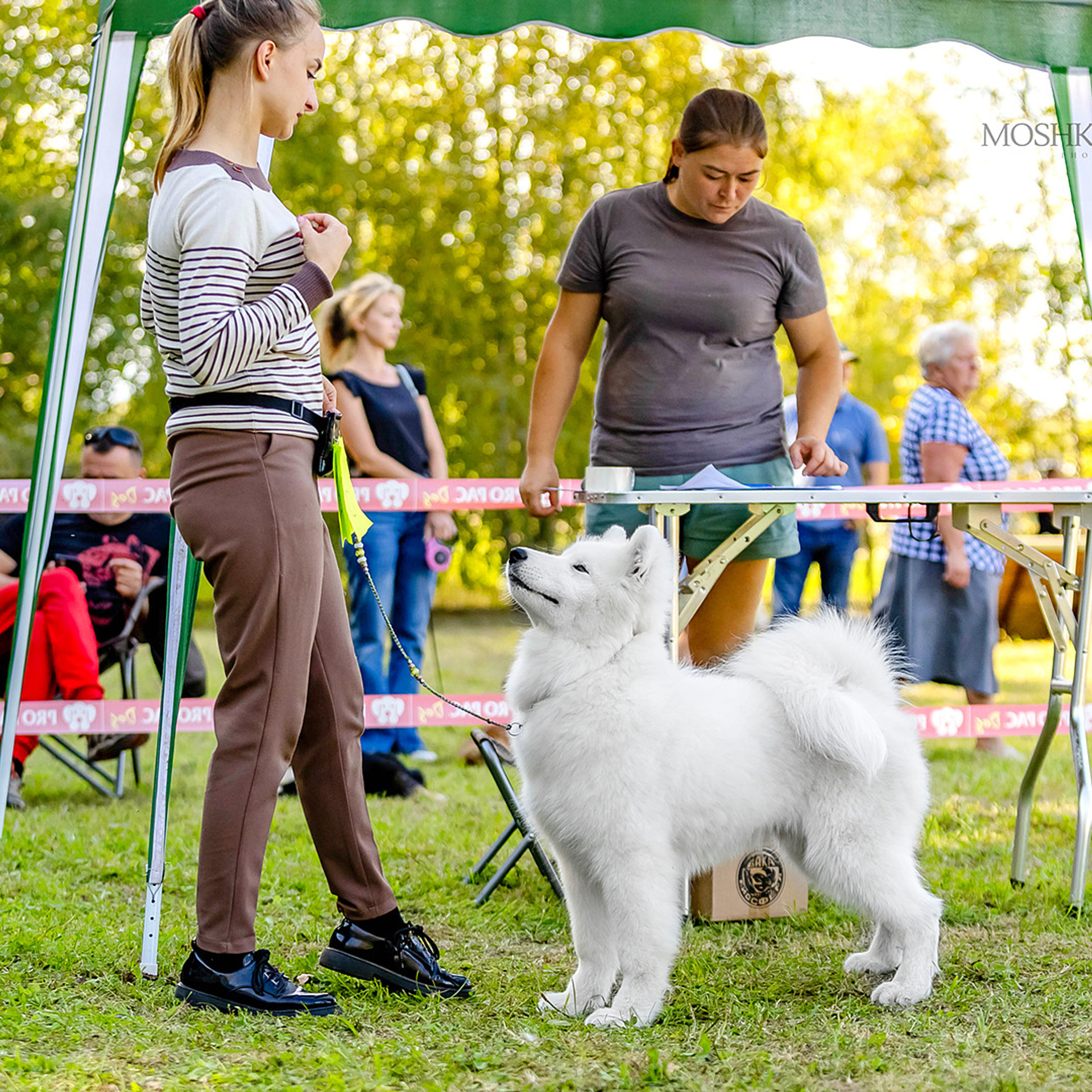 Отзывы. Https://moshkovaphoto.ru/