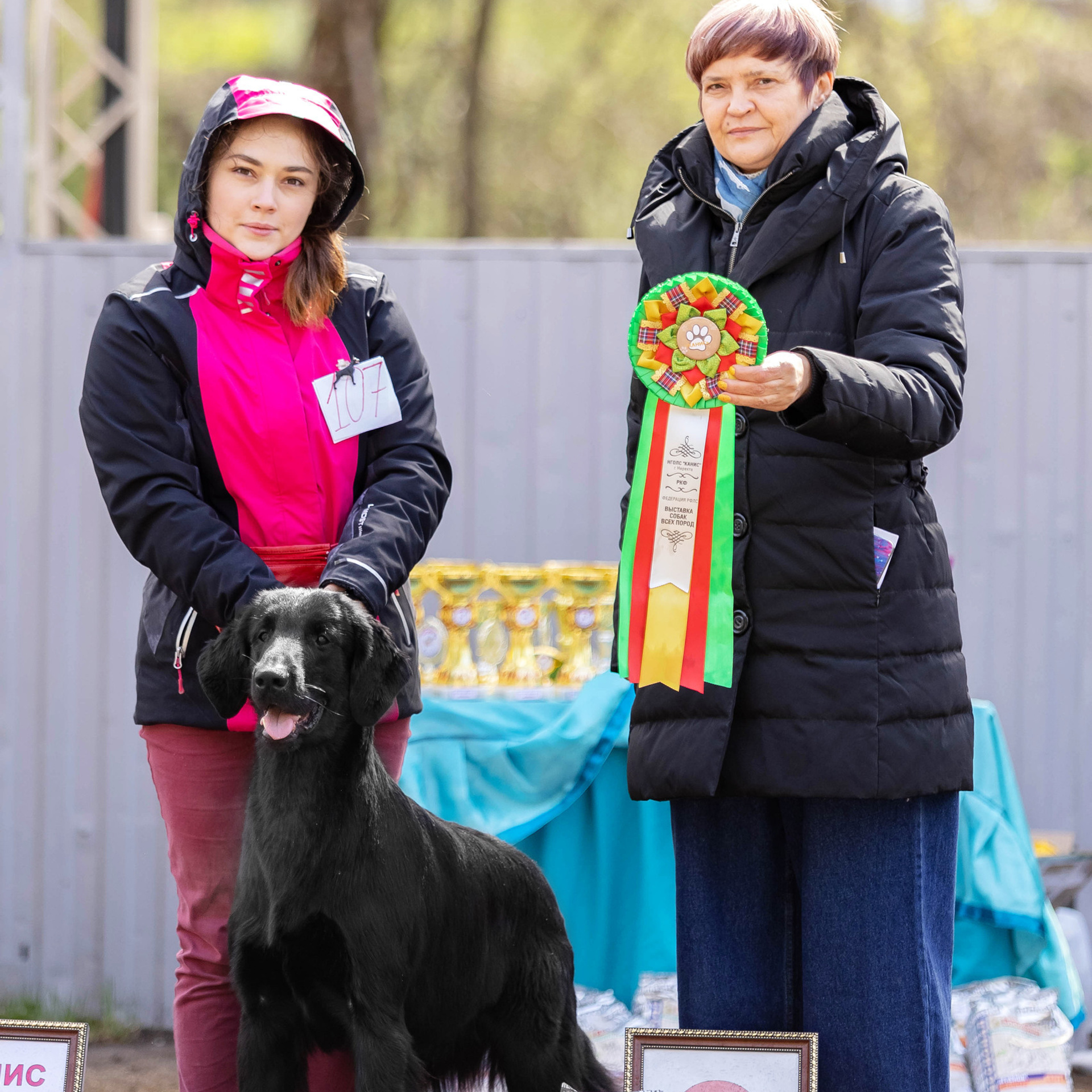 Отзывы. Https://moshkovaphoto.ru/