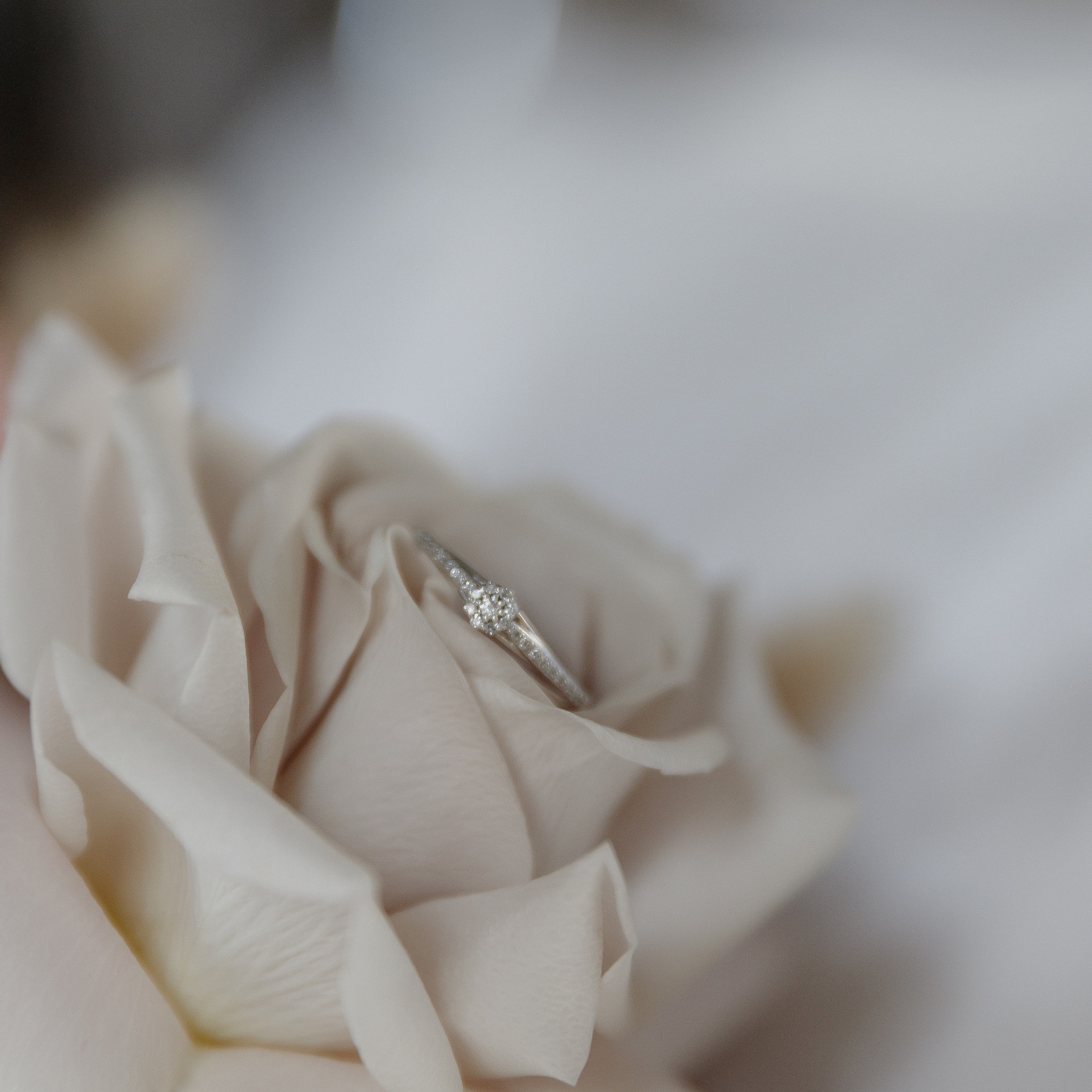 Отзывы. Свадебный фотограф в Москве и по всему миру