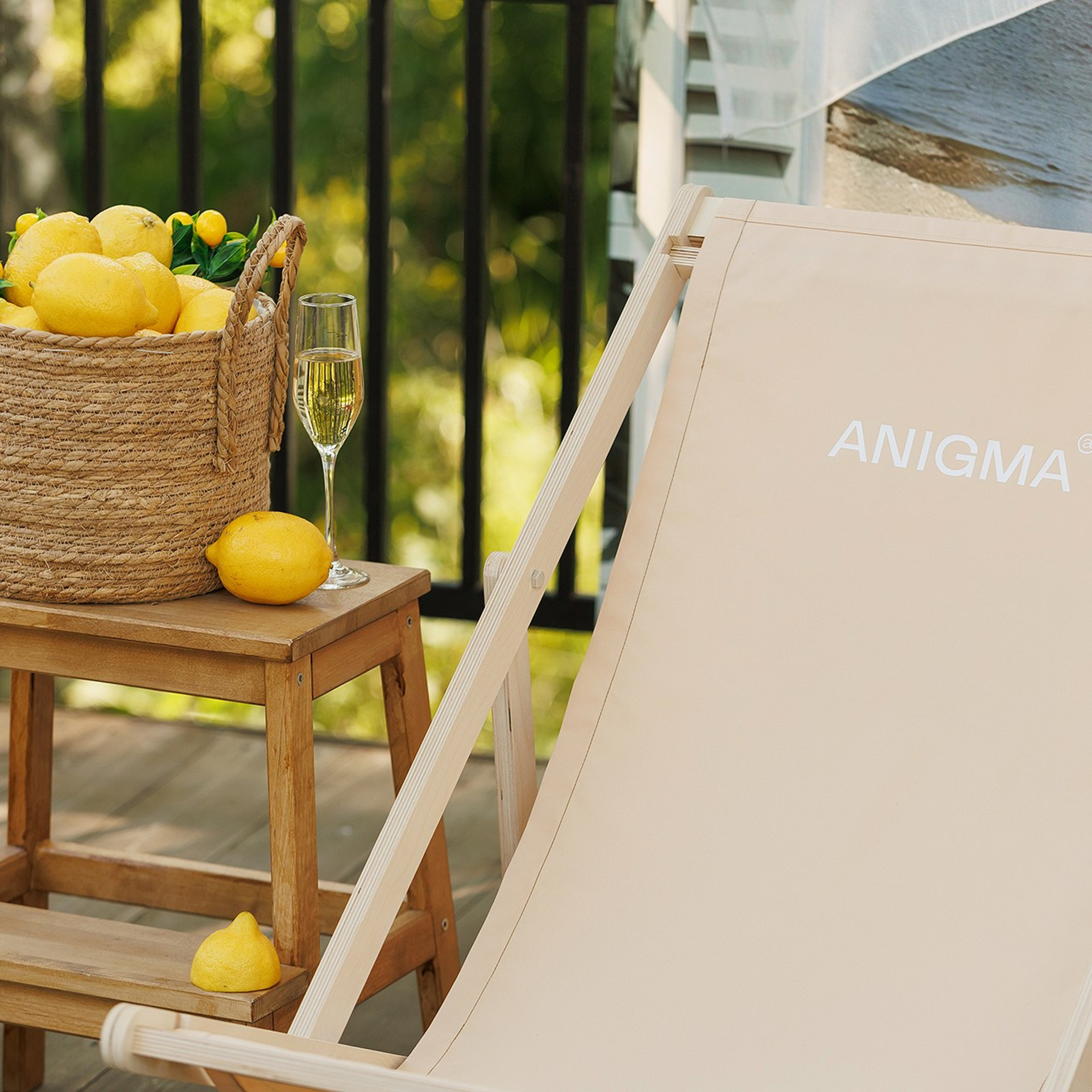 Anigma, презентация для клиентов