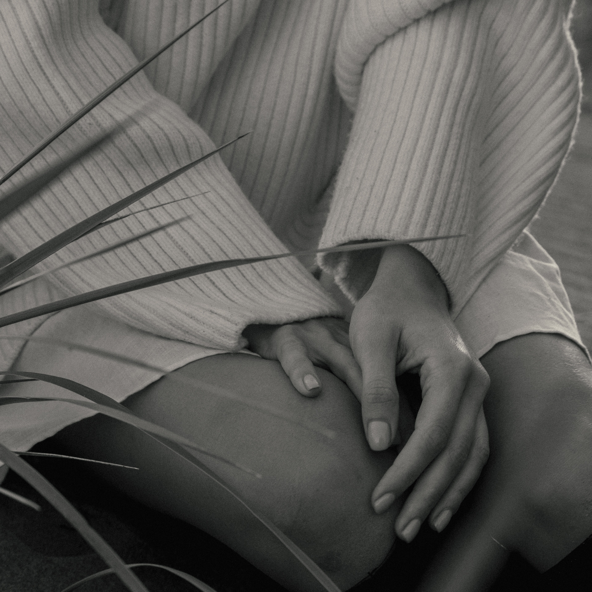 Поля. Фотограф Катерина Ивашова