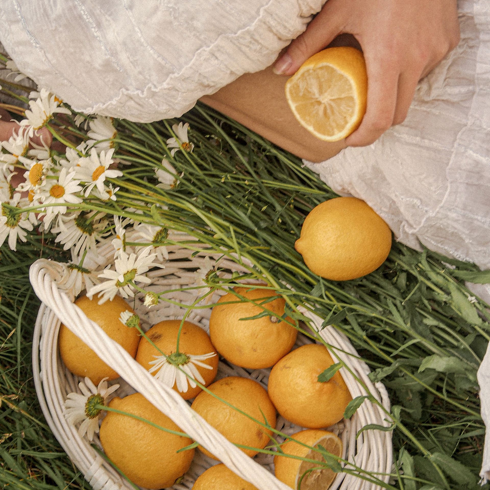 Аня. Фотограф Катерина Ивашова