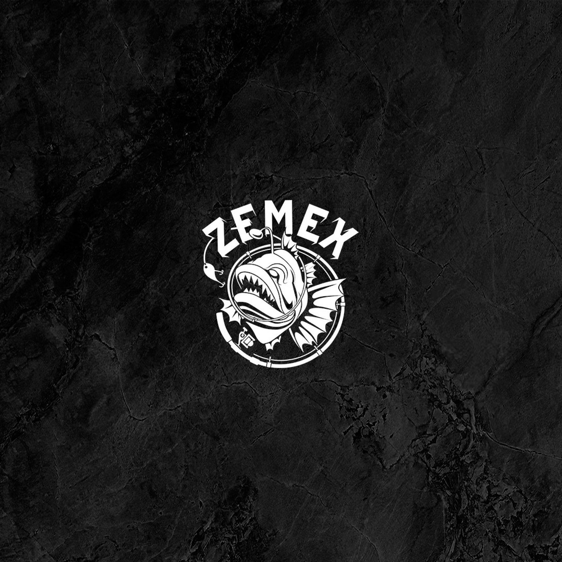 Команда ZEMEX