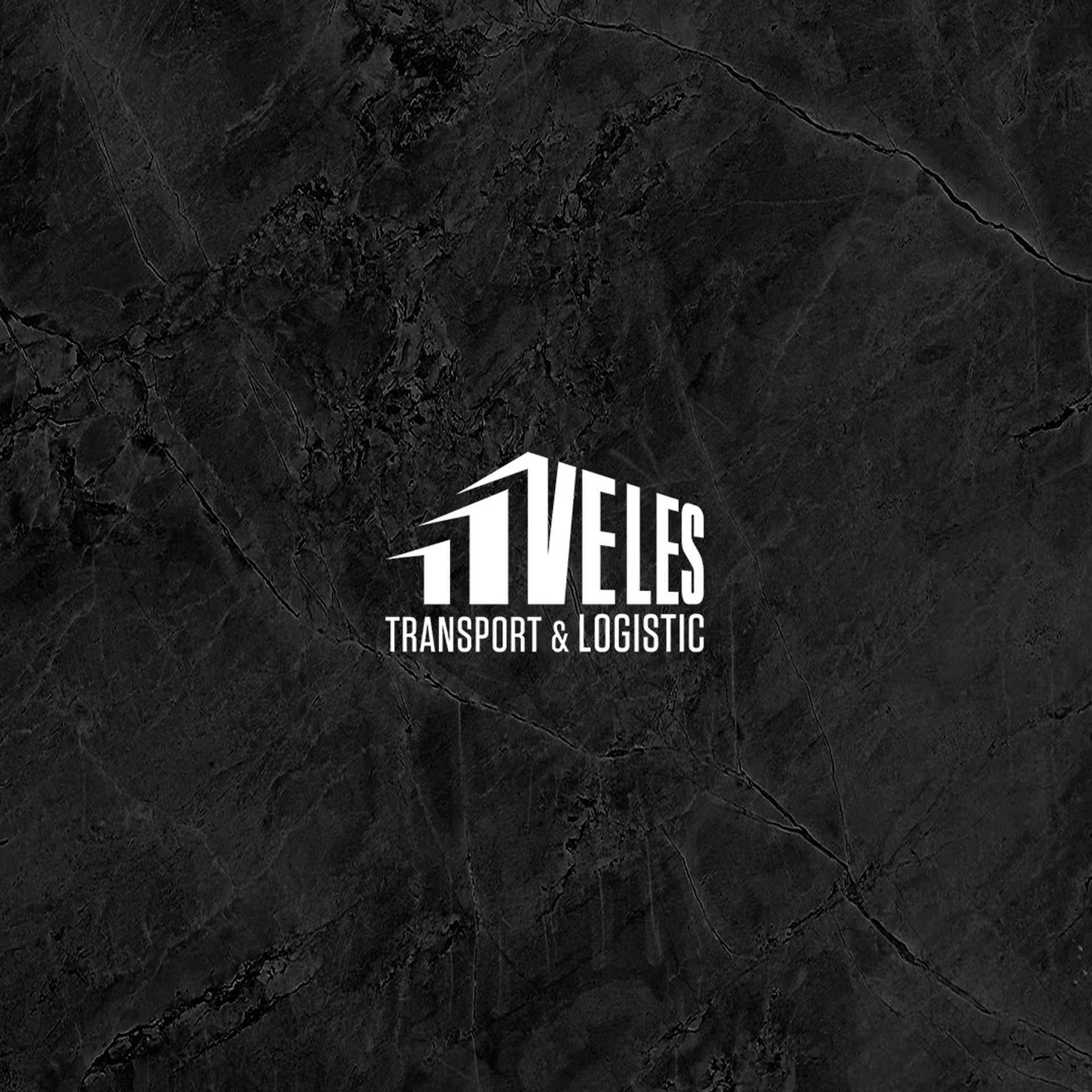 Транспортная компания VELES