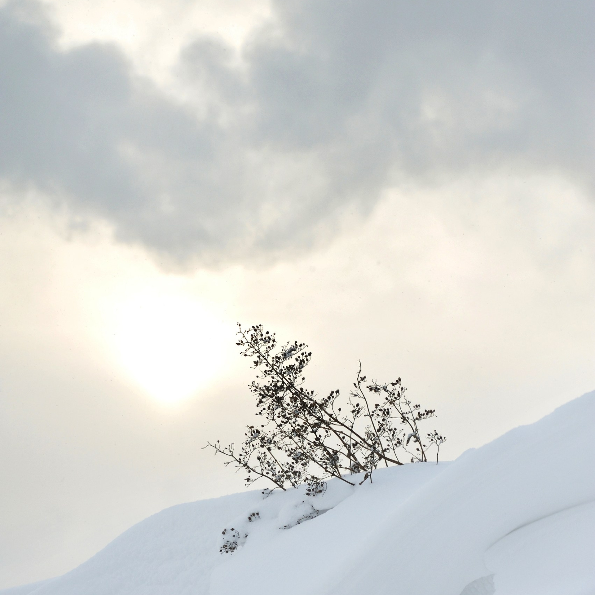 Форма снега