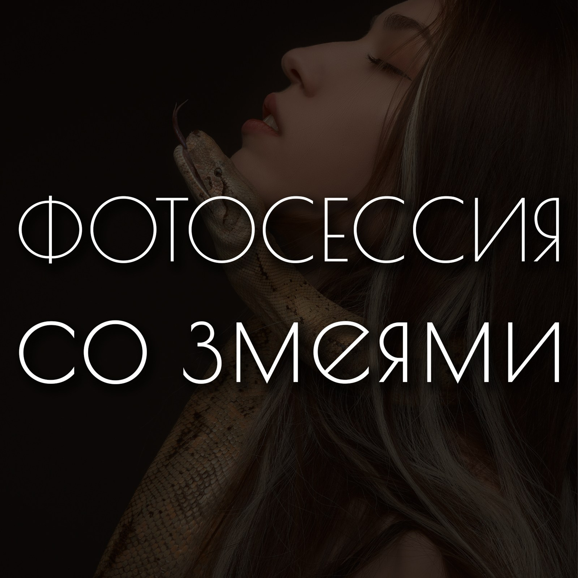 Съёмка со змеями