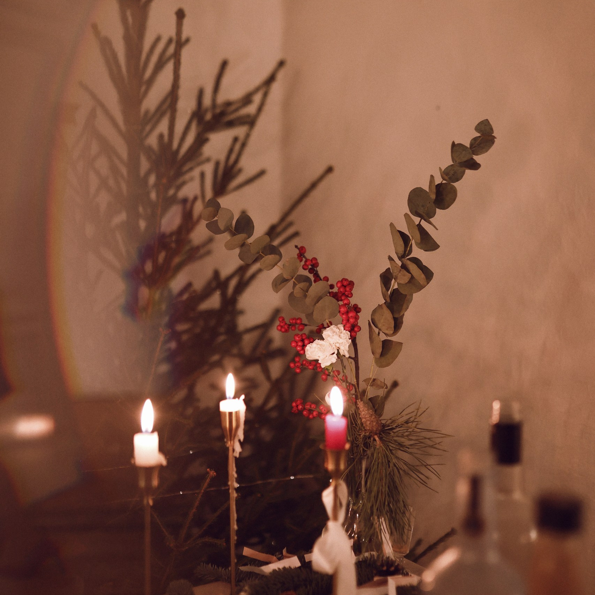 Новогодний огонёк в Липе