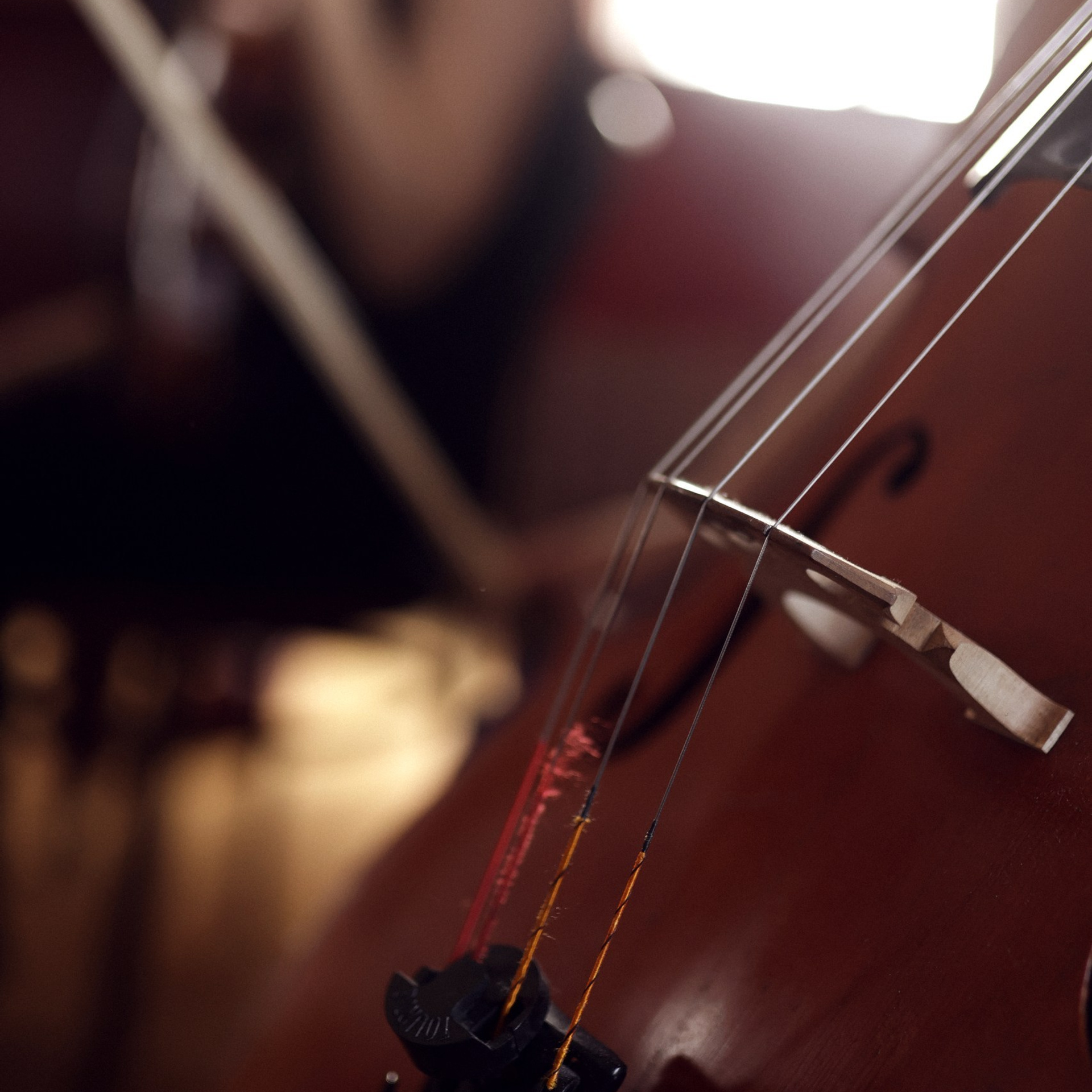 Mozart for Kids & Ochen' lab