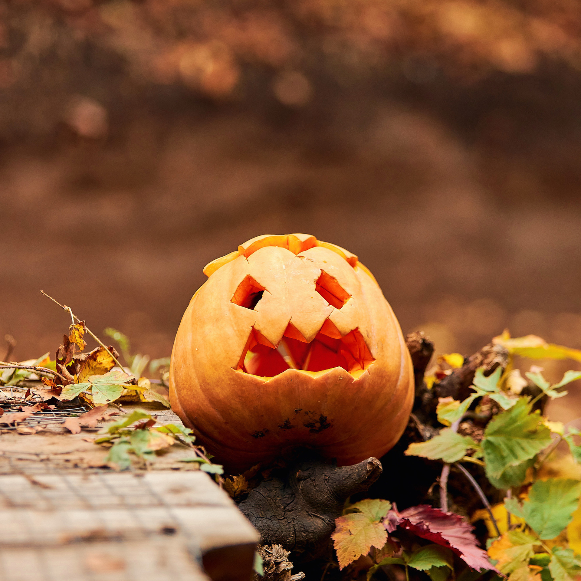 Отзывы. Спортивный/коммерческий фотограф/видеограф