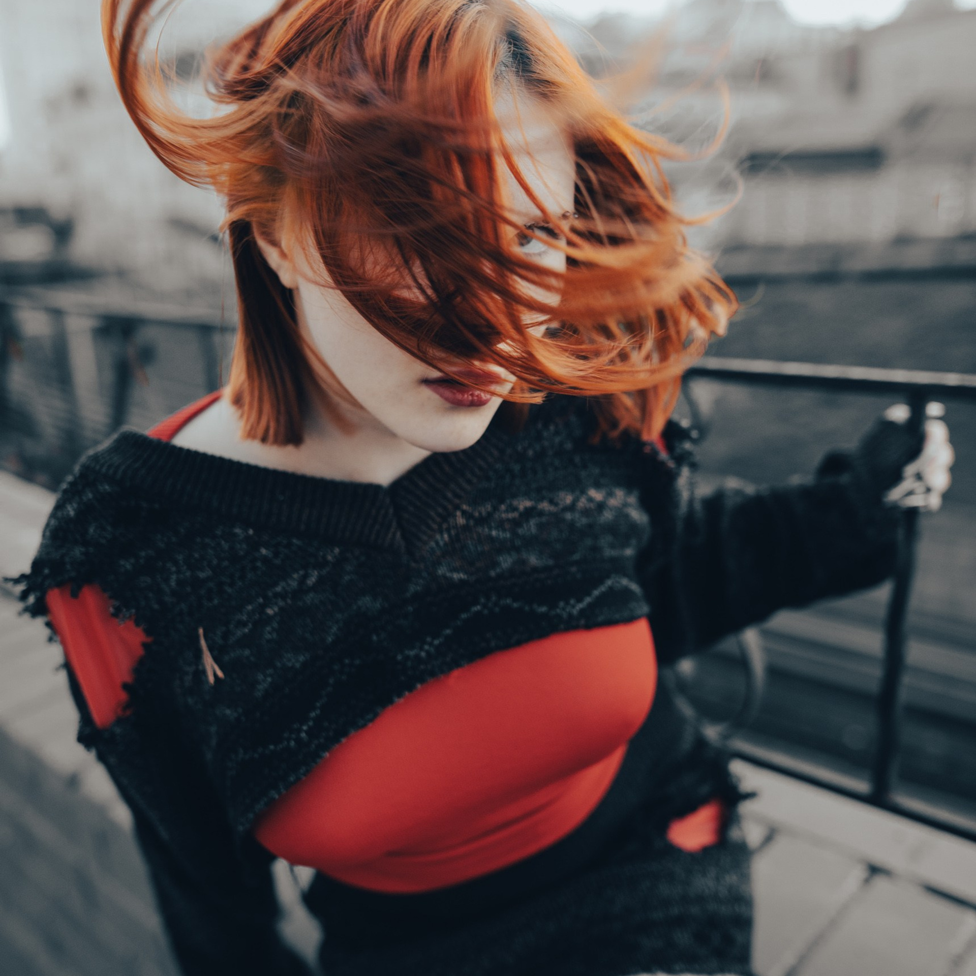 Лиса с перчинкой 2024