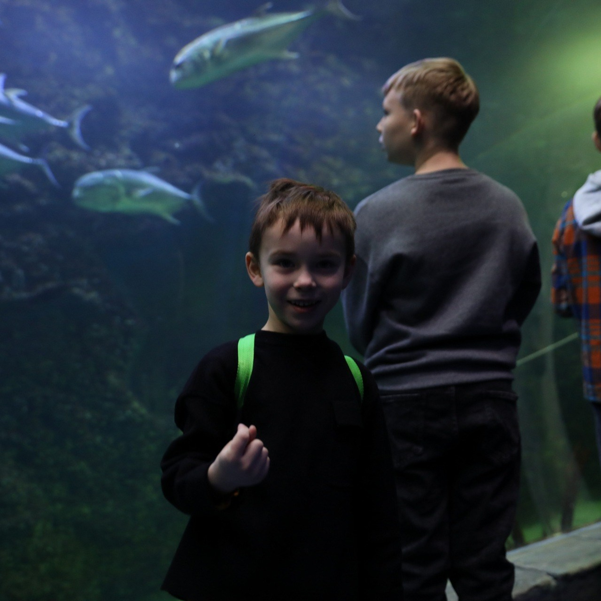 Отзывы. Сидоров Андрей Николаевич фотограф в Москве и Новосибирске