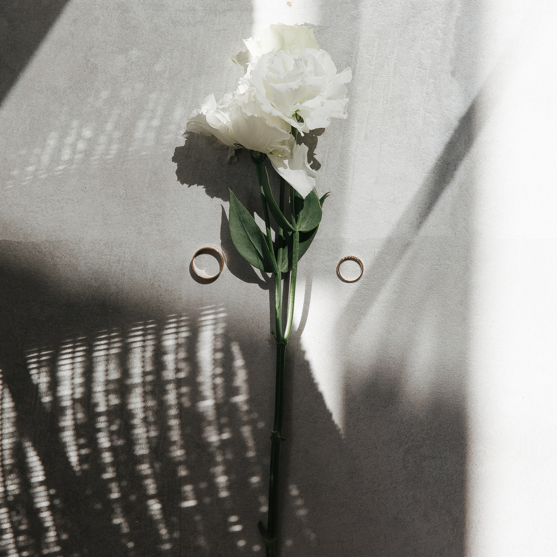 Отзывы. Фотограф в Красноярске Надежда Воскресенская