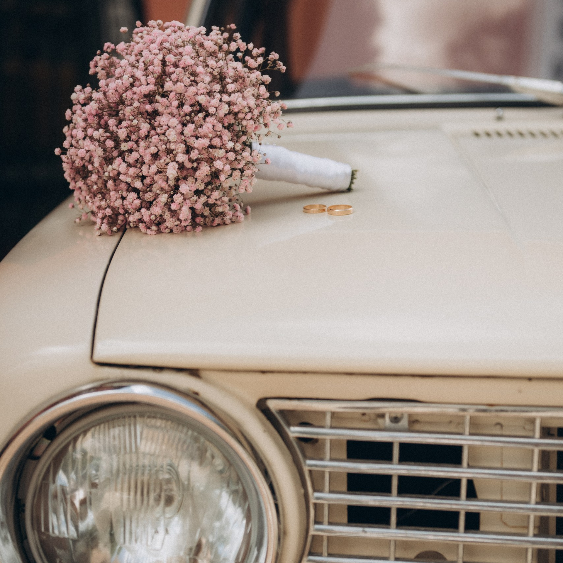 Саша и Алина