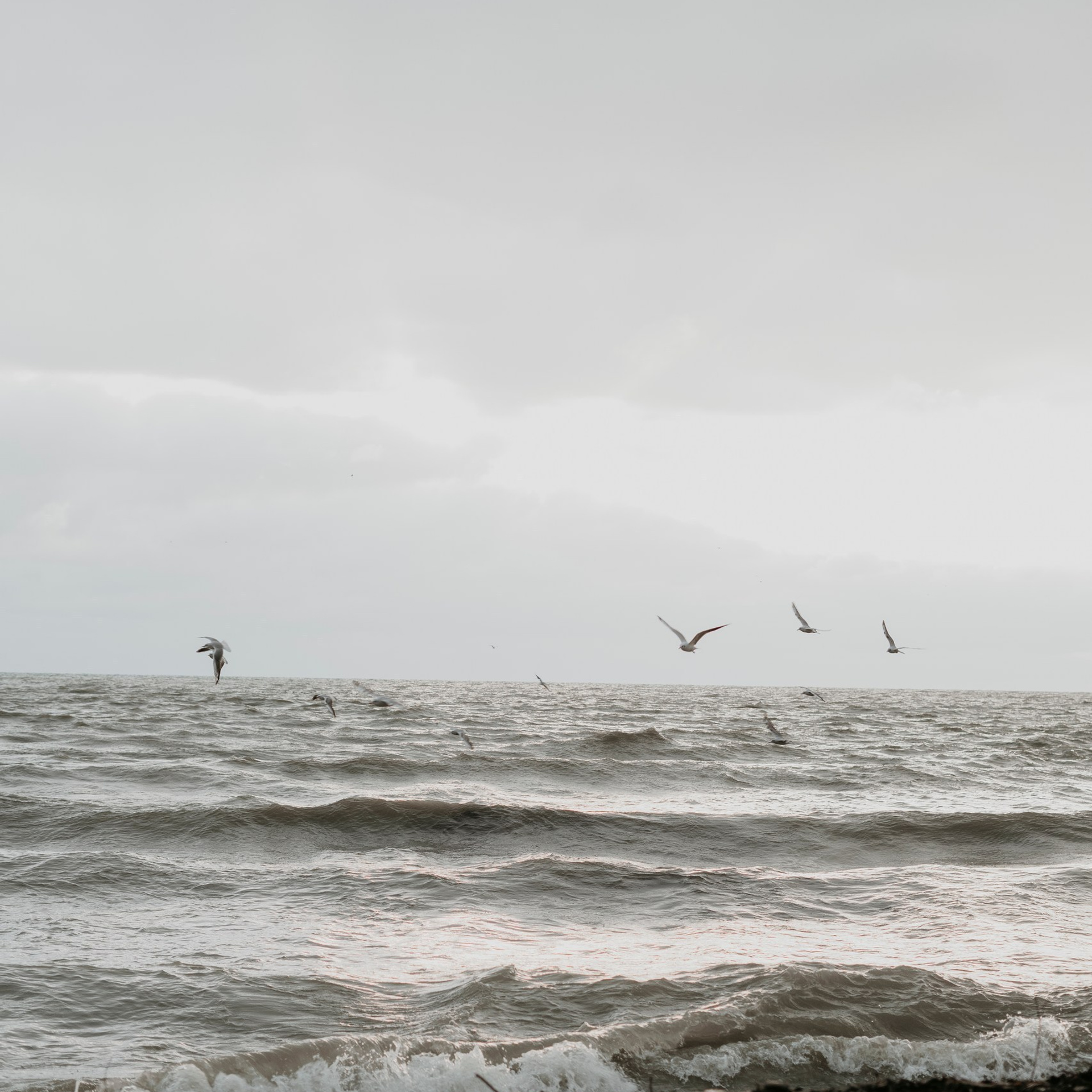 Отзывы клиентов | Фотограф Крым, Севастополь. Фотограф Крым, Севастополь