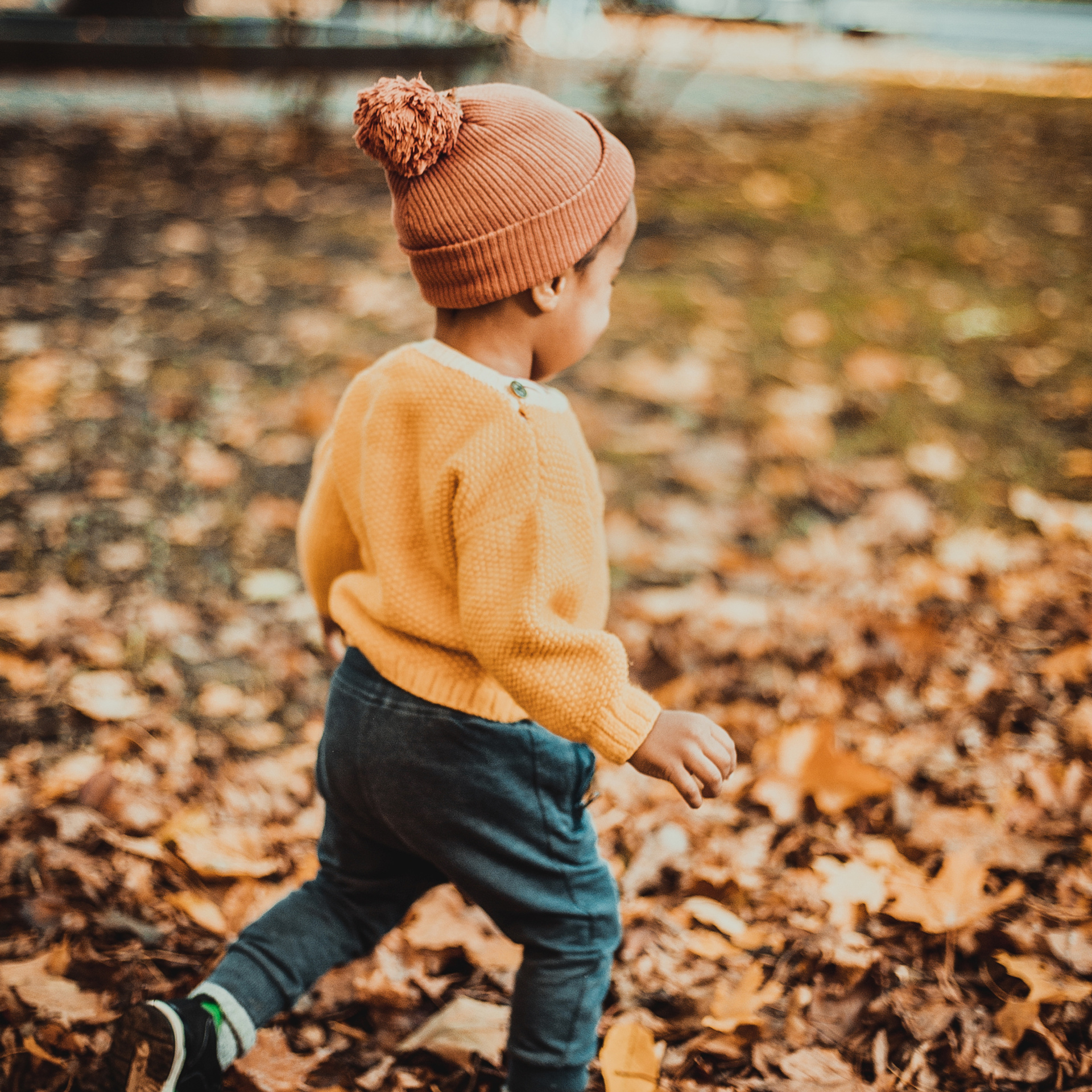 Сиф и другие. Детский, свадебный и семейный фотограф Юлия Курбатова, Санкт-Петербург