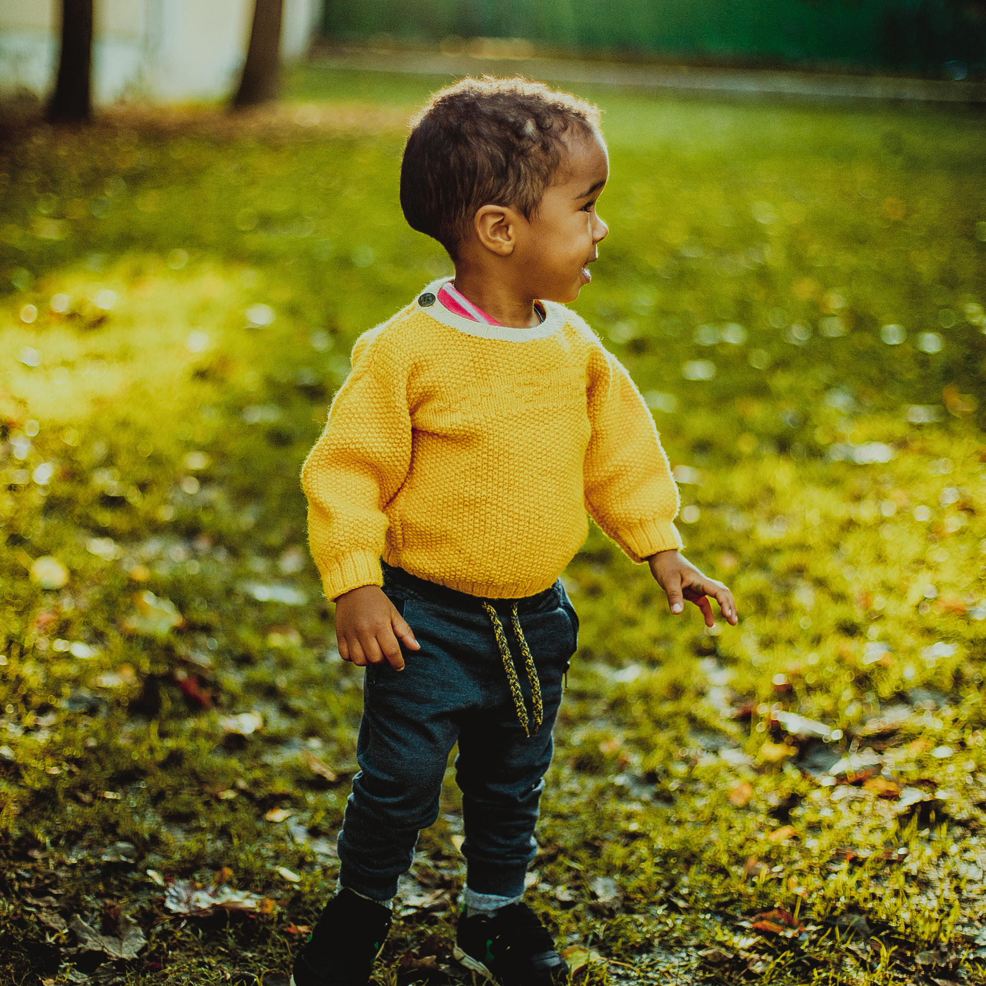 Сиф и другие. Детский, свадебный и семейный фотограф Юлия Курбатова, Санкт-Петербург