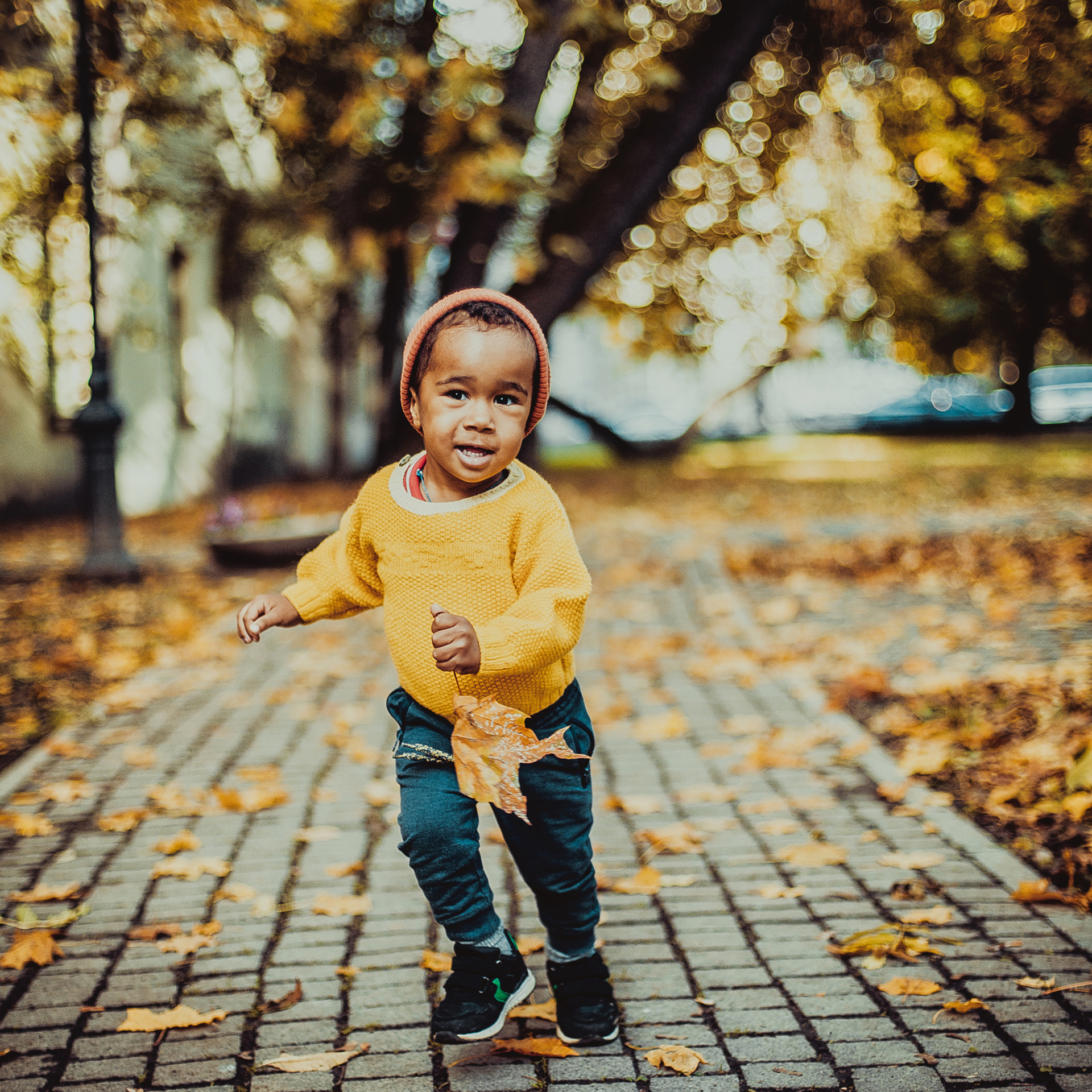 Сиф и другие. Детский, свадебный и семейный фотограф Юлия Курбатова, Санкт-Петербург