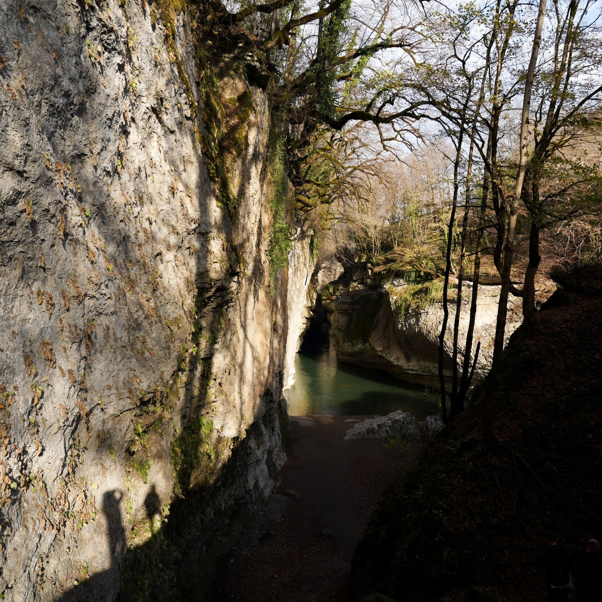 ОТЗЫВЫ. Профессиональный фотограф Виктория Соломкина. Майкоп-ЮФО