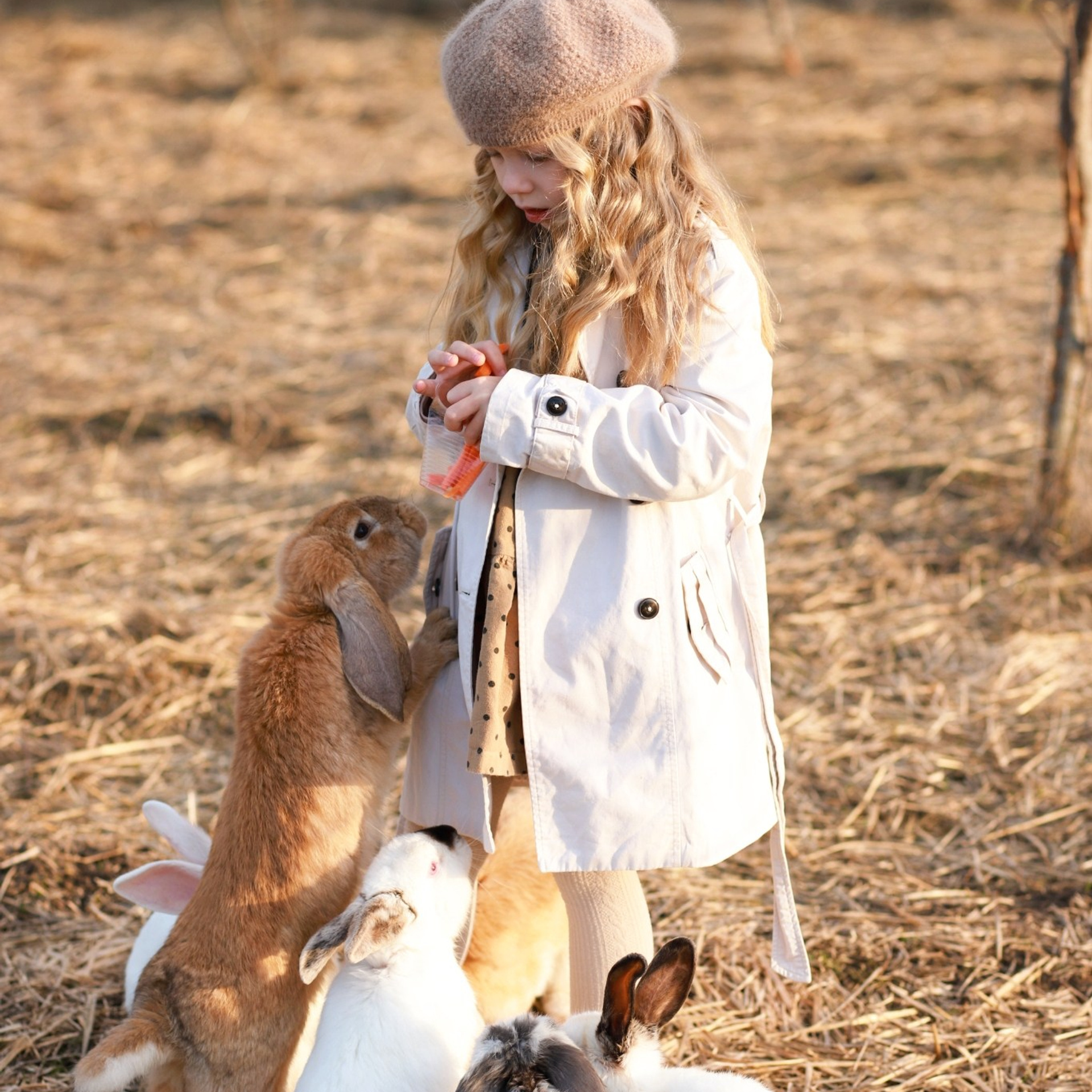 Ферма — Парк