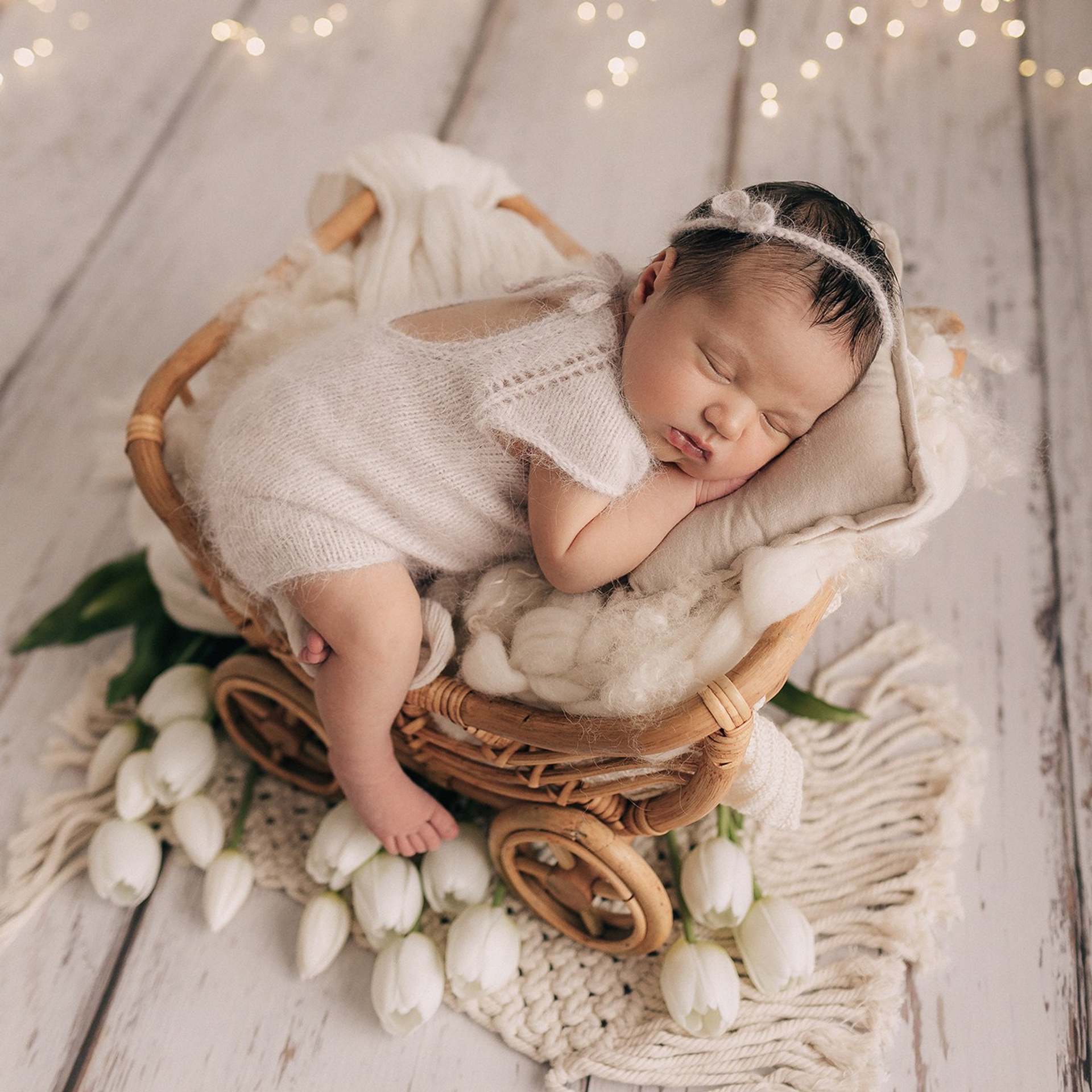 Стефания 7 дней