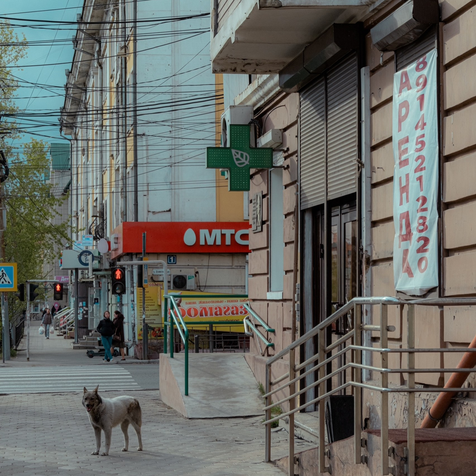 Чита