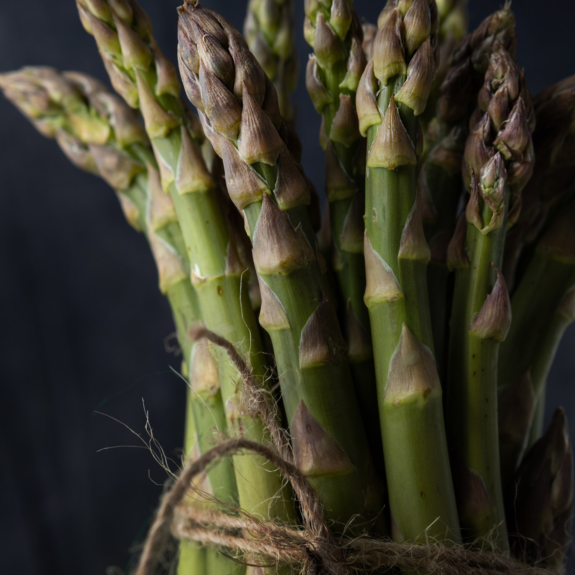 Предметная фотография