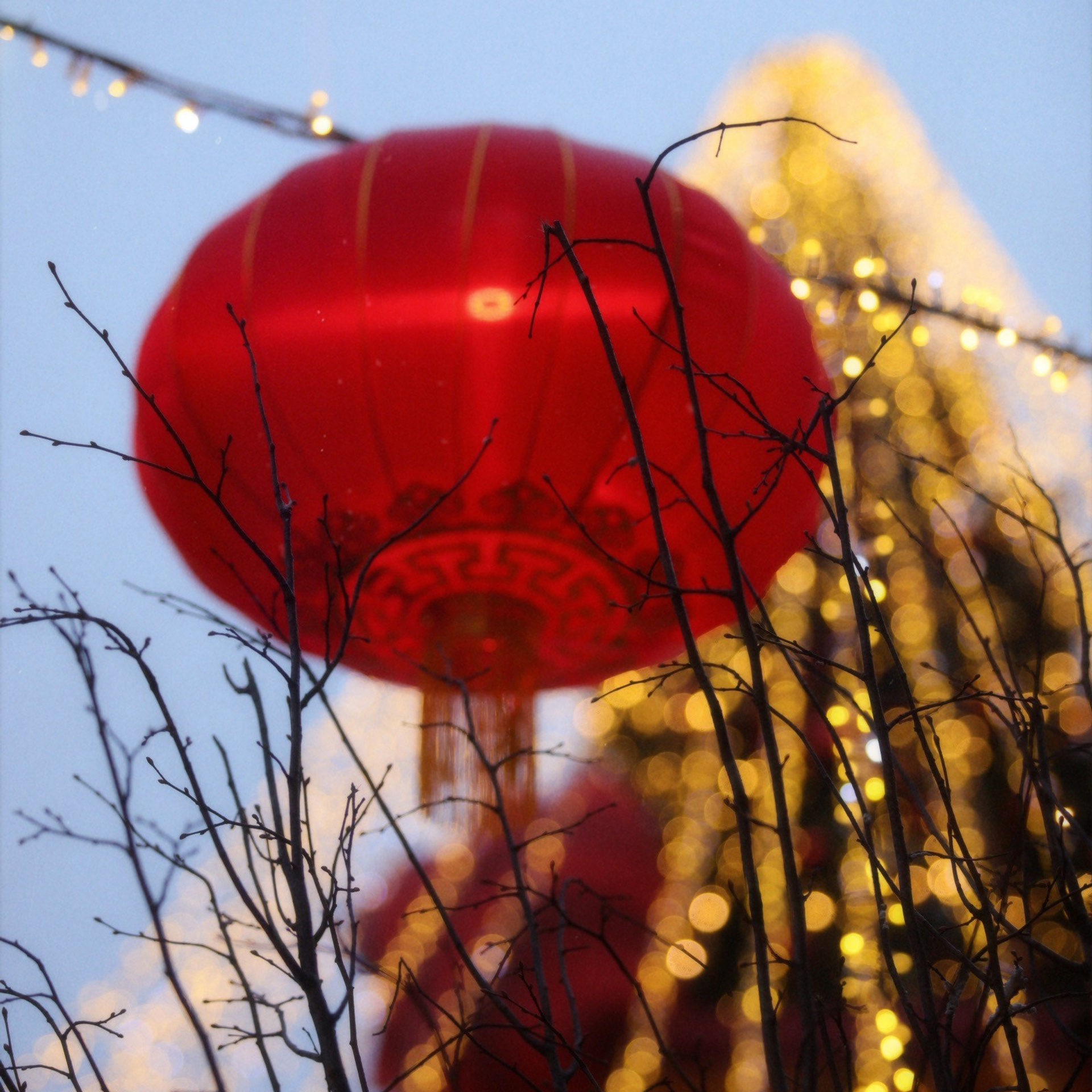 Китайский Новый год в Москве