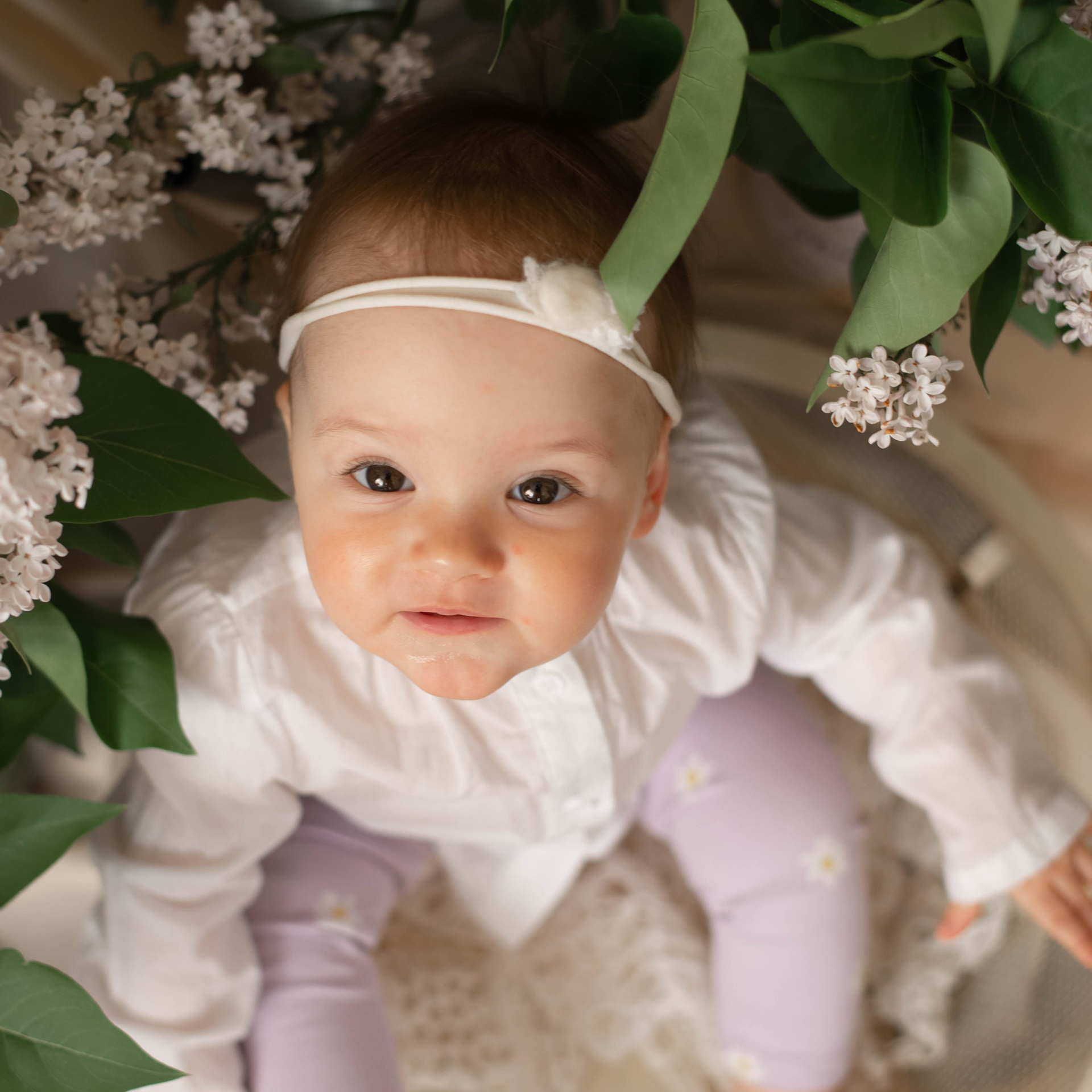 Отзывы. Фотограф новорожденных. Йошкар-Ола