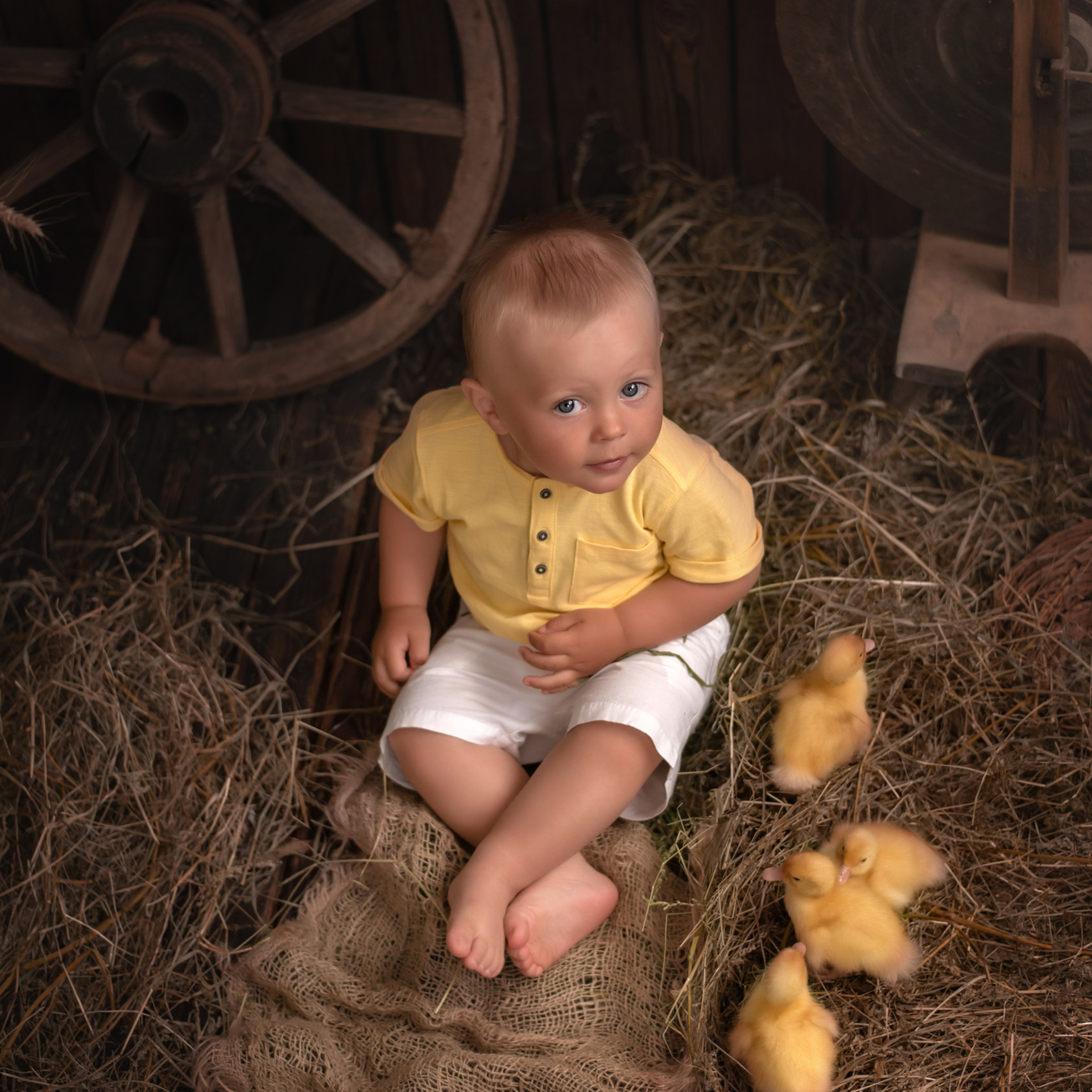 Отзывы. Фотограф новорожденных. Йошкар-Ола