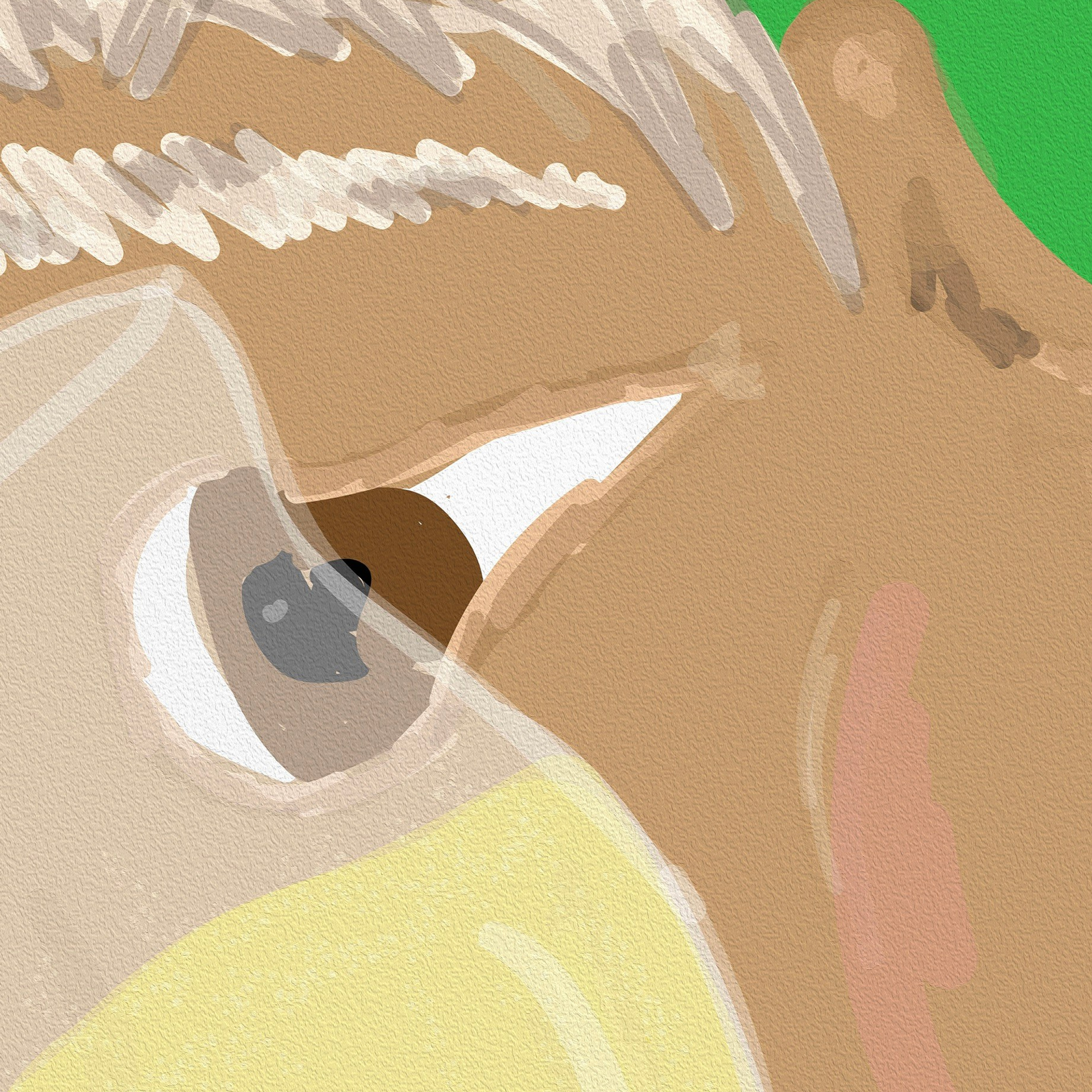 “Faces” Twist