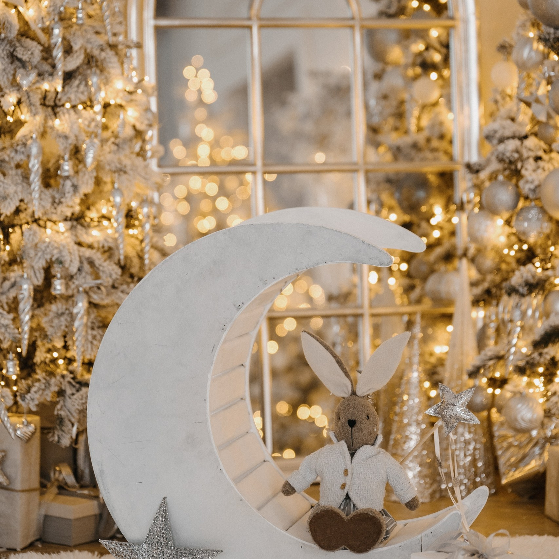 Новогодние локации 2026. Свадебный и семейный фотограф в Туле и области Маша Костина