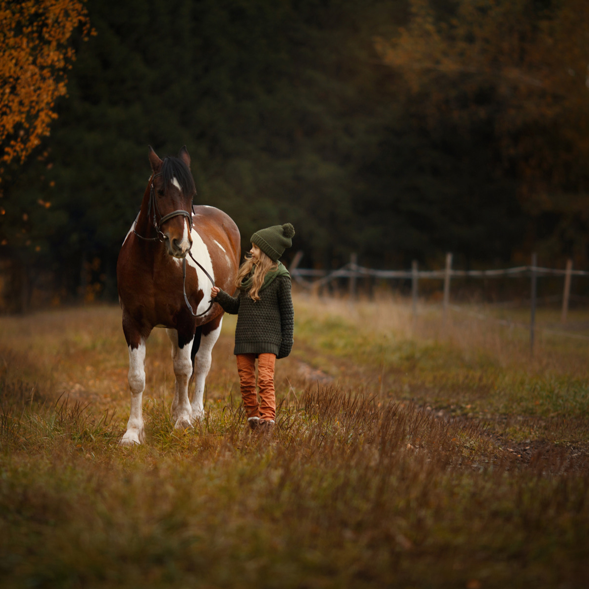 Алиса и Гуцул