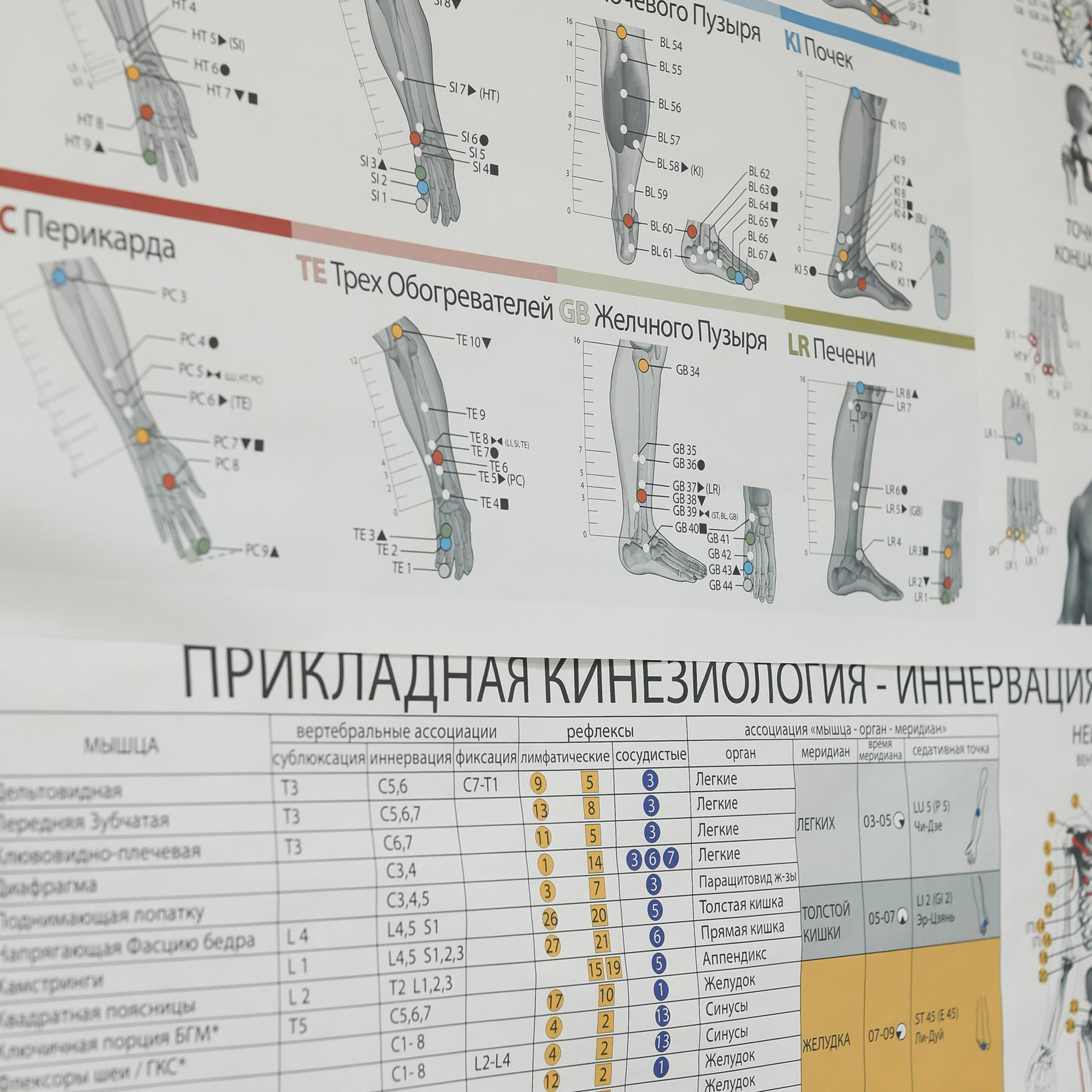 Отзывы. Свадебный фотограф