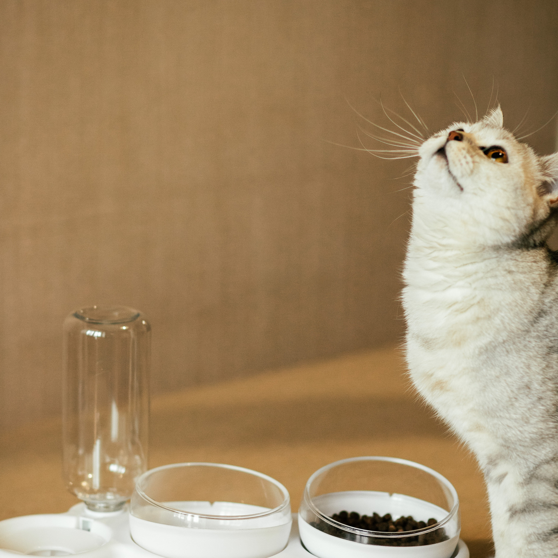 Отзывы. Фотограф Москва и Московская Область Карина Юсупова