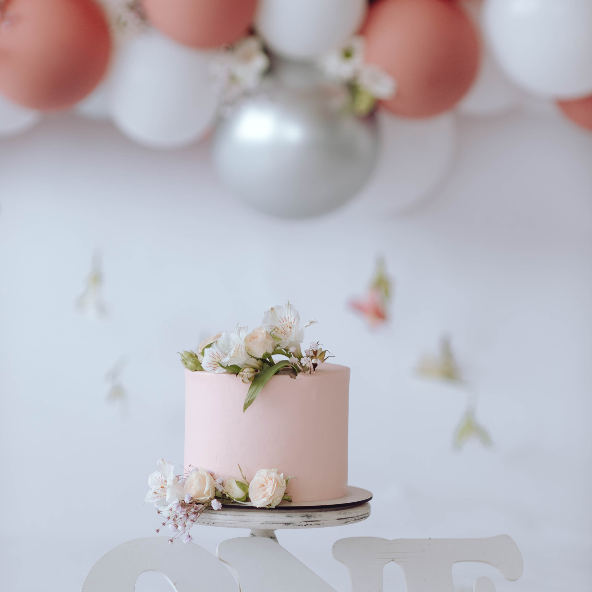 Отзывы. Портфолио