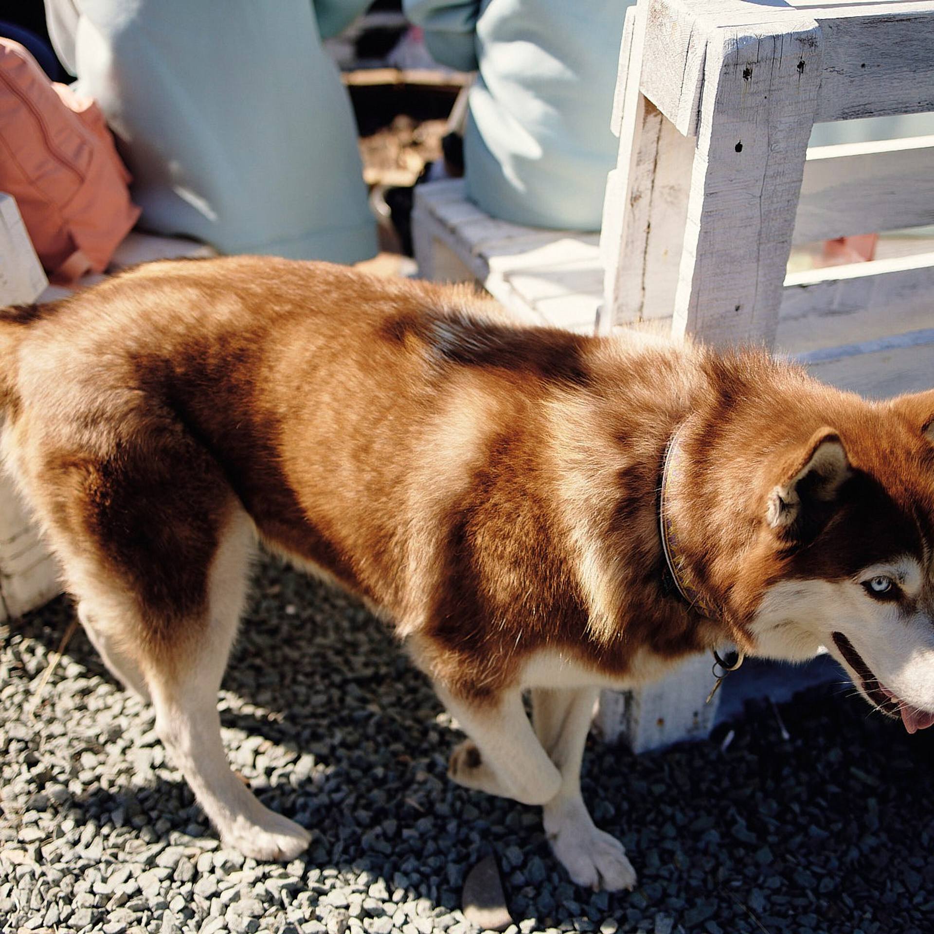 Всероссийский молодежный форум «Экосистема», Камчатка 2022 г. Фотограф Григорий Сотников