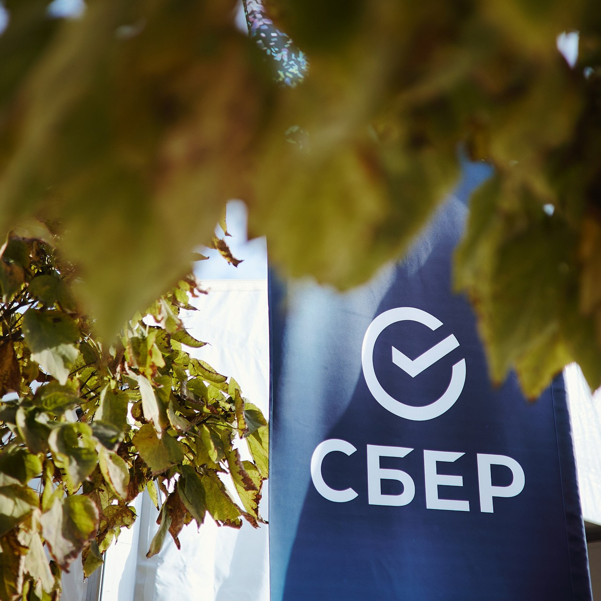 СБЕР Бизнес Фест. Краснодар, ноябрь 2024 г. Фотограф Григорий Сотников