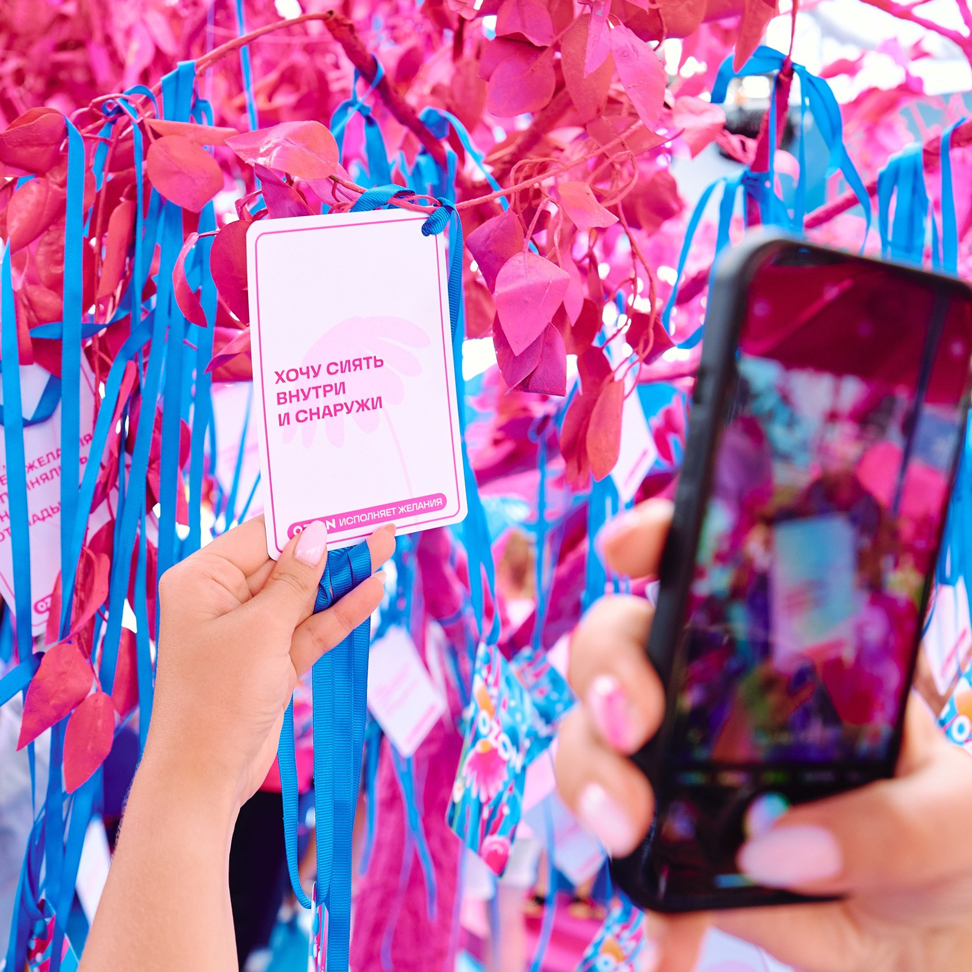 Стенд OZON на VK Fest. Фотограф Григорий Сотников