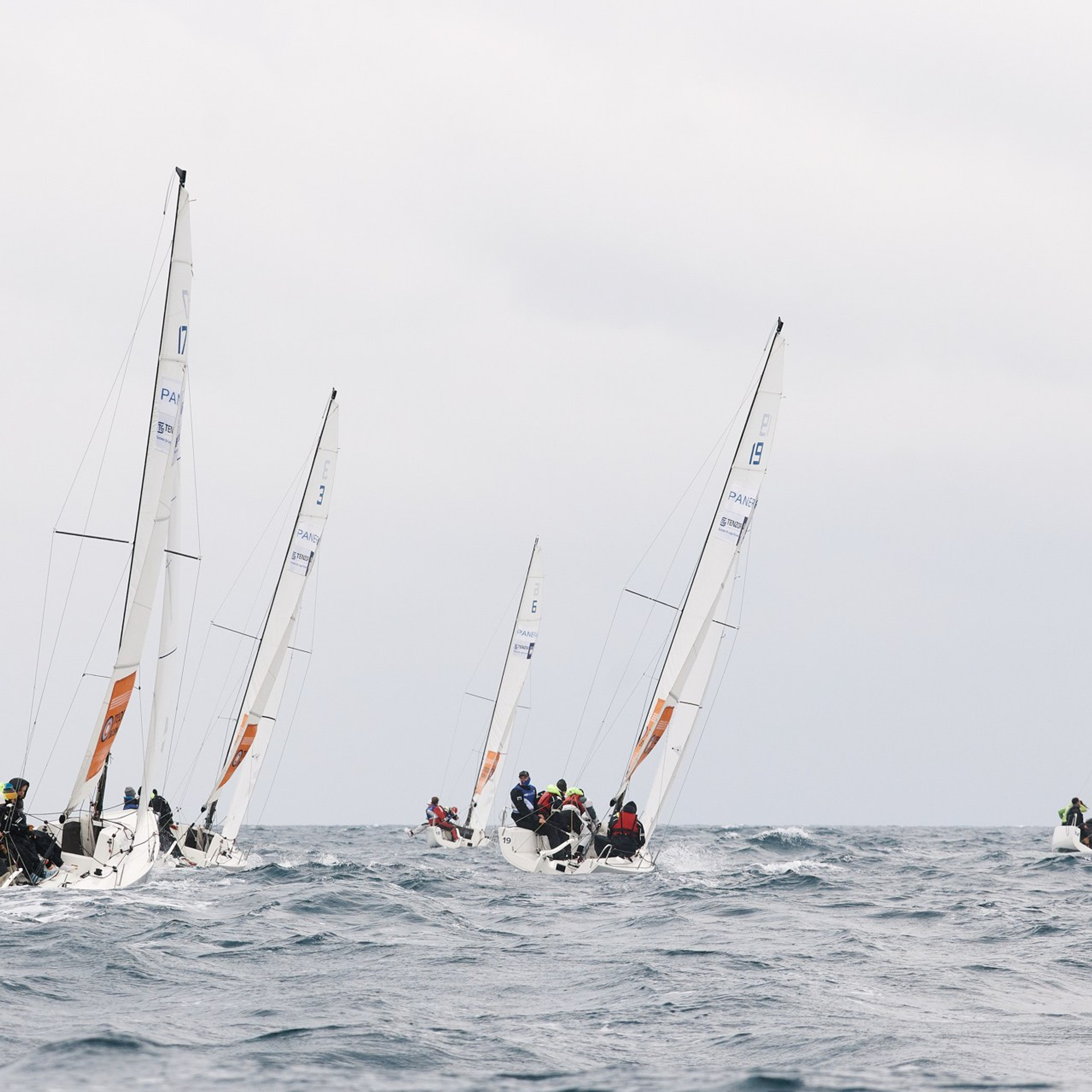 Регата «Территория Возможностей». Имеретинский курорт, ноябрь 2021 г. Фотограф Григорий Сотников