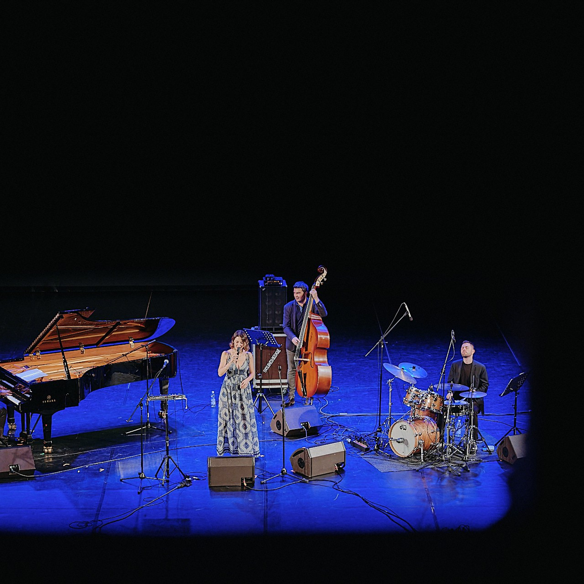 Sochi Jazz Festival. Фотограф Григорий Сотников