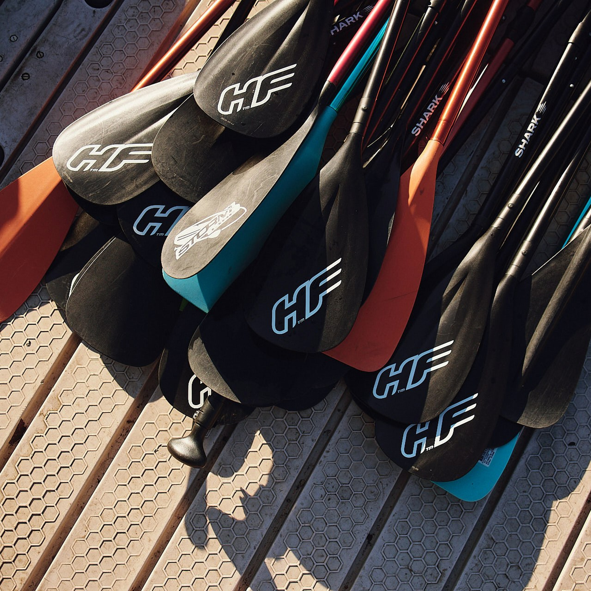 Всероссийский молодежный форум «Экосистема», Камчатка 2022 г. Фотограф Григорий Сотников