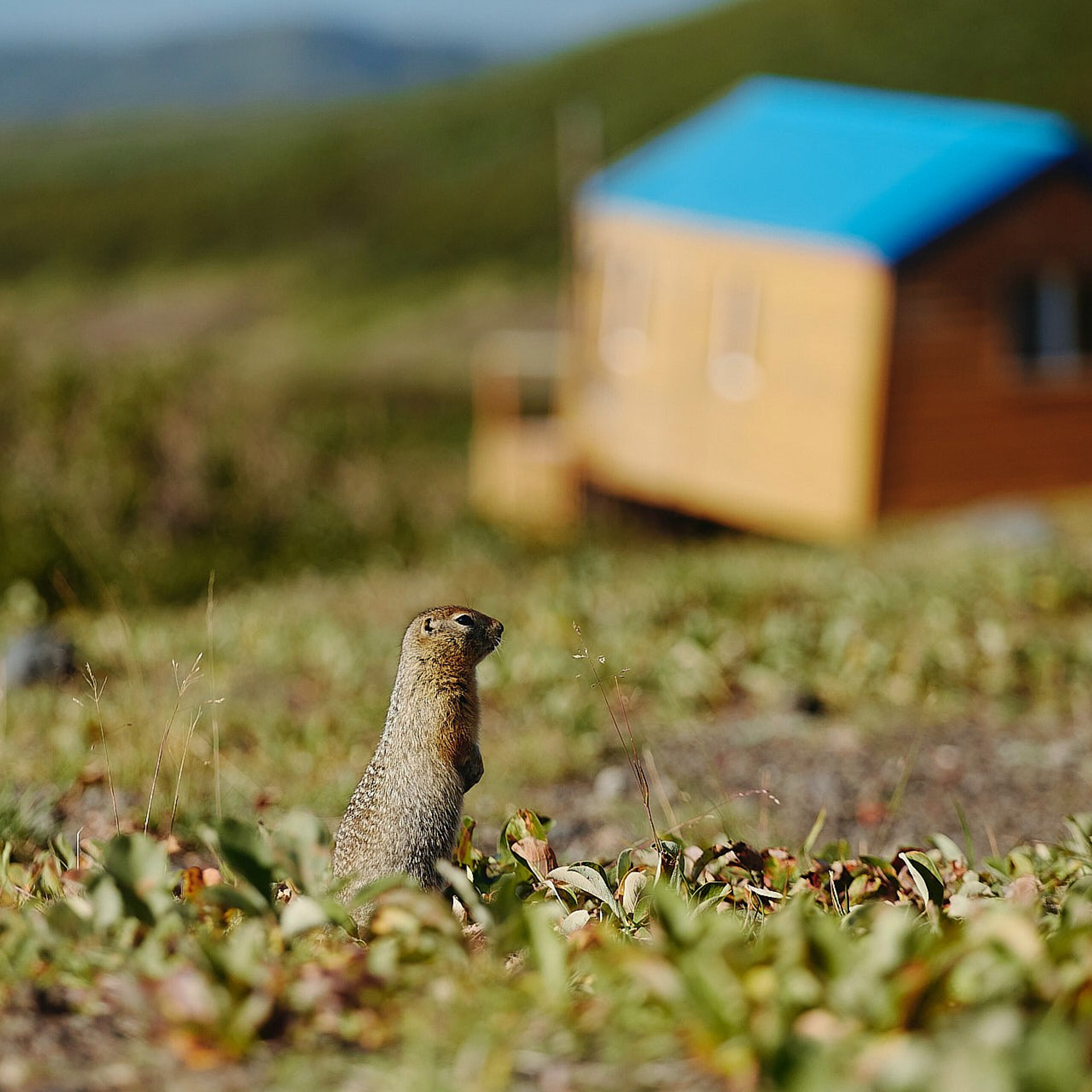 Всероссийский молодежный форум «Экосистема», Камчатка 2022 г. Фотограф Григорий Сотников