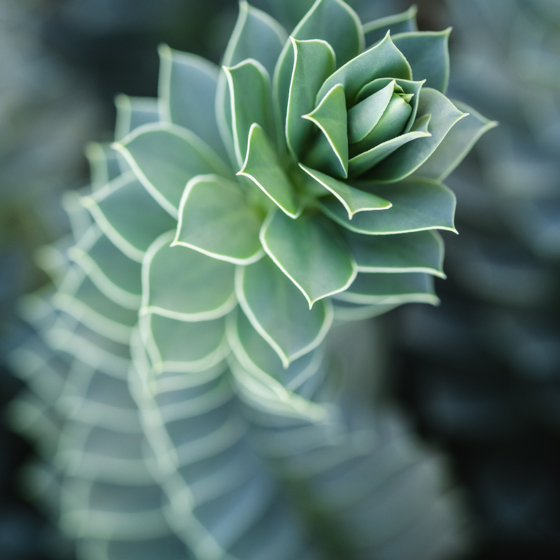 Отзывы о работе фотографа Галины Шараповой. Галина Шарапова Детский и семейный фотограф Москва