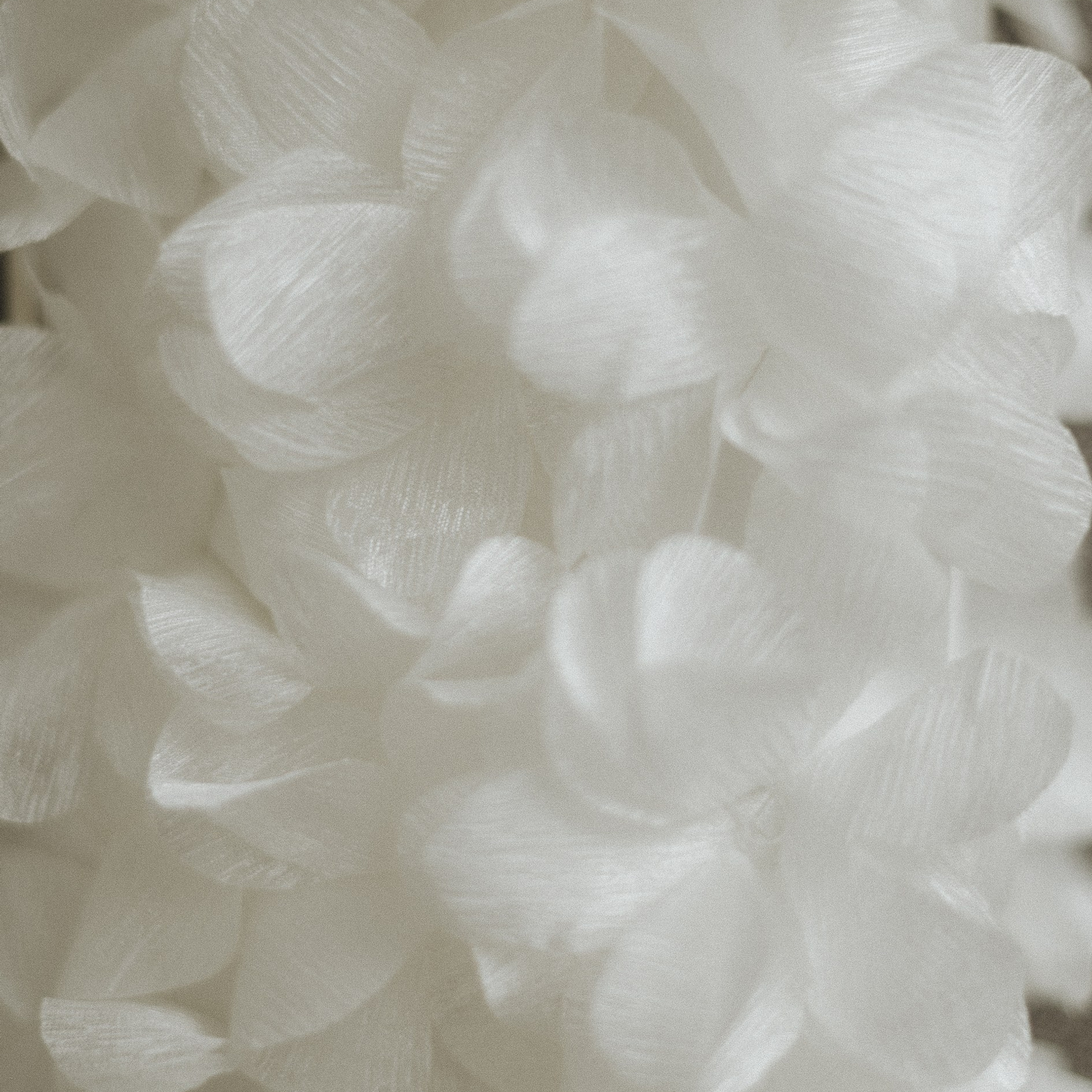 Отзывы. Свадебный фотограф в Ростове-на-Дону Инна Абдул