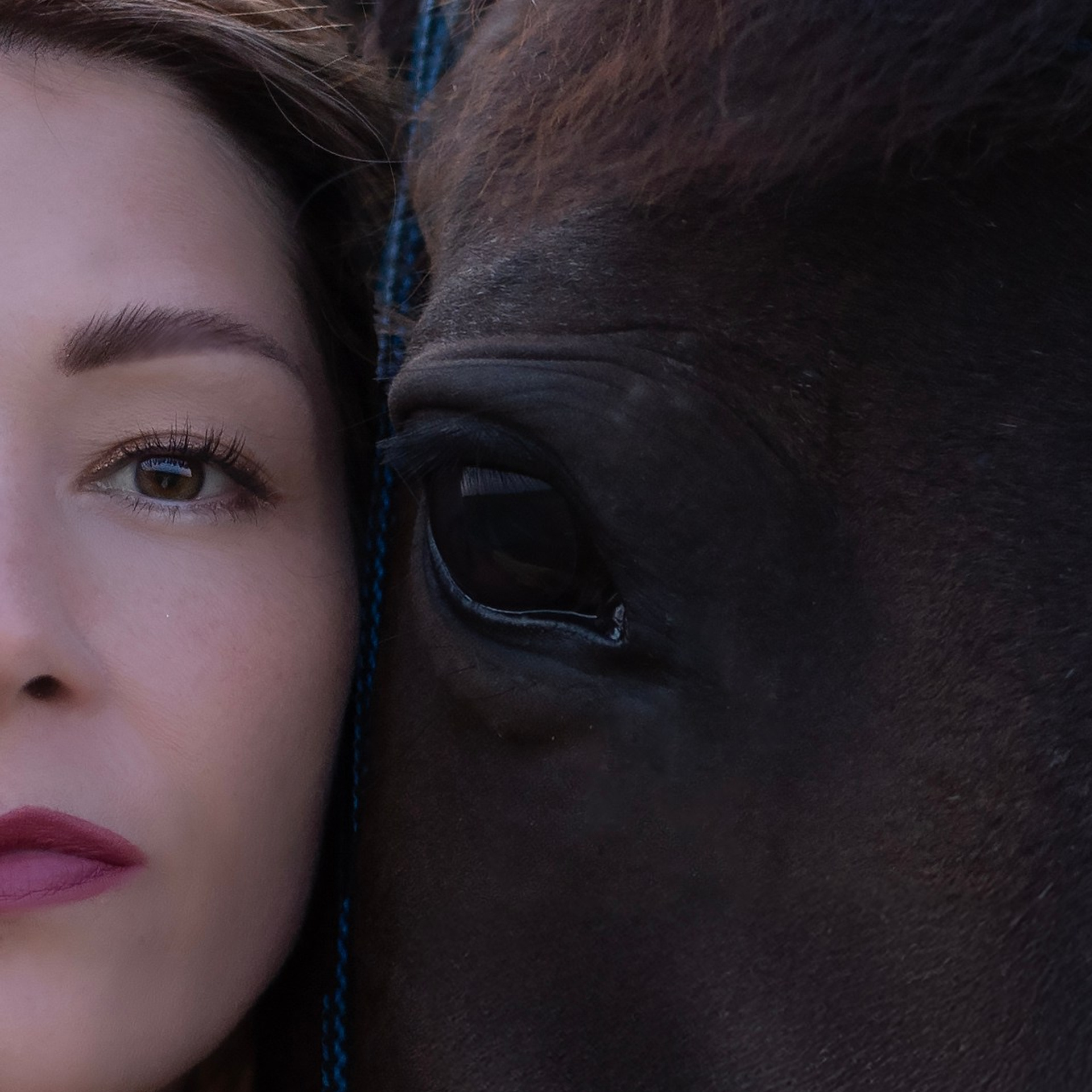 Леди и лошадь