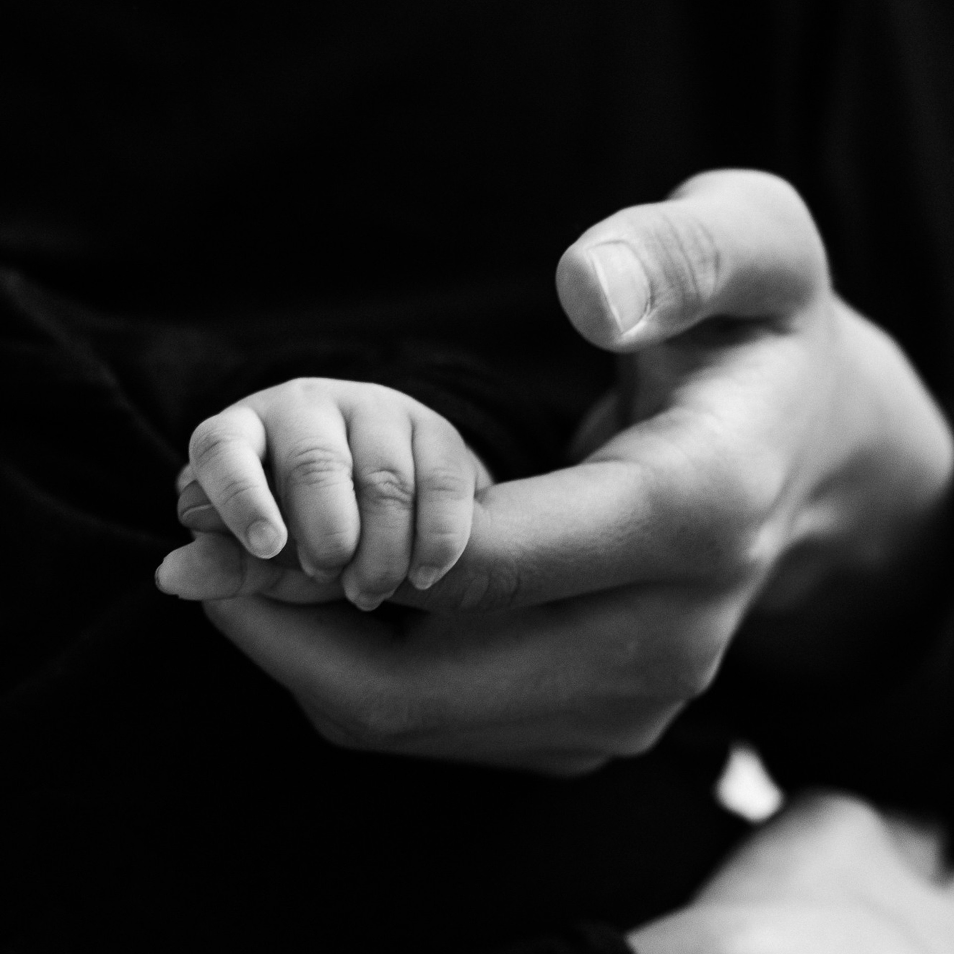 Дари и Алдар