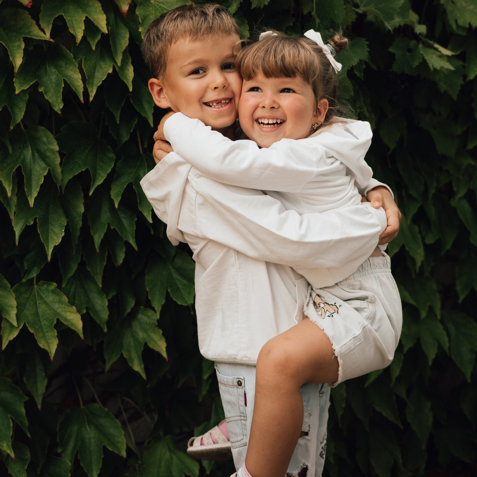 Море и виноград. Лазаревское